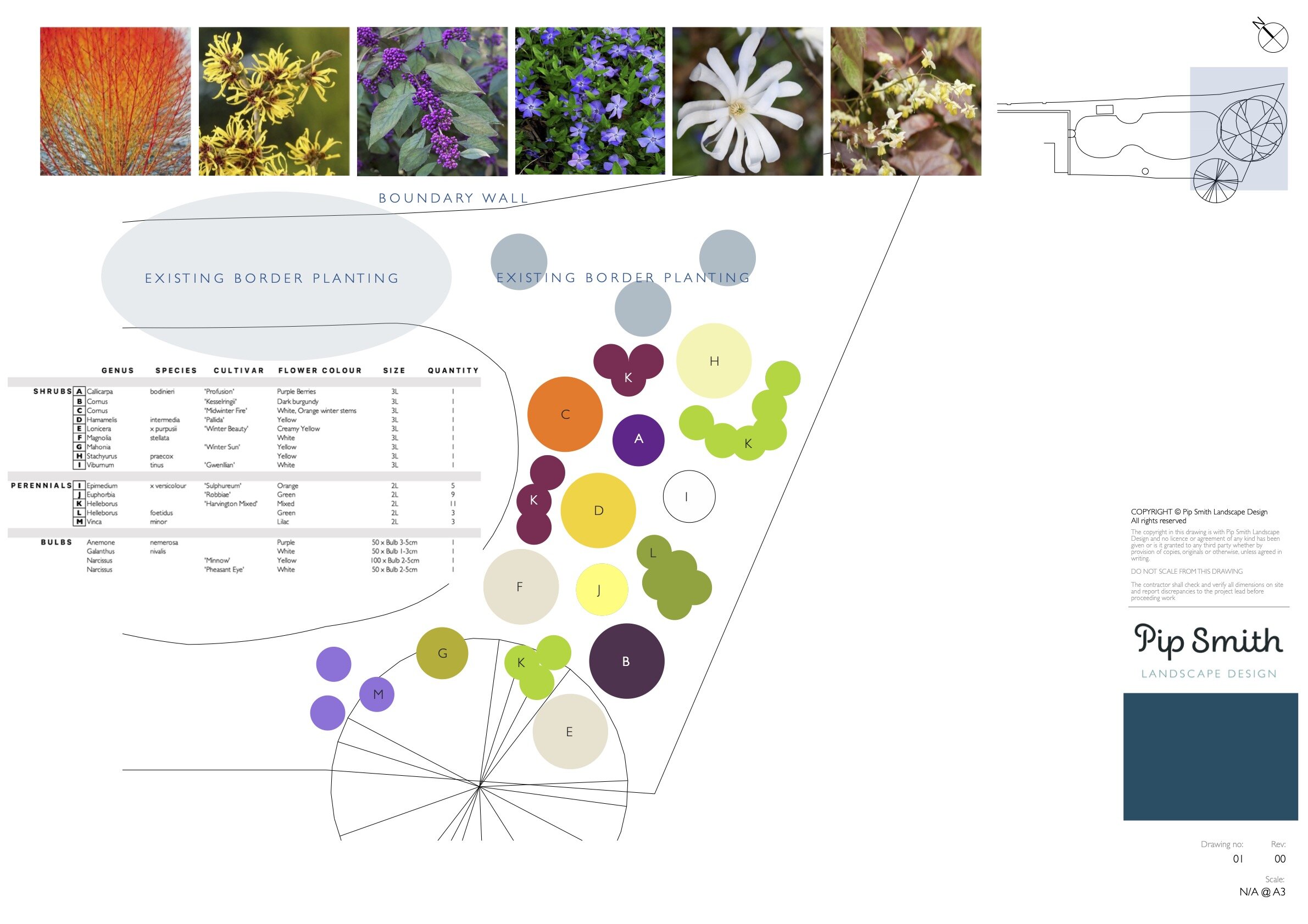 Pip Planting Pattern , Pip – FVYORD