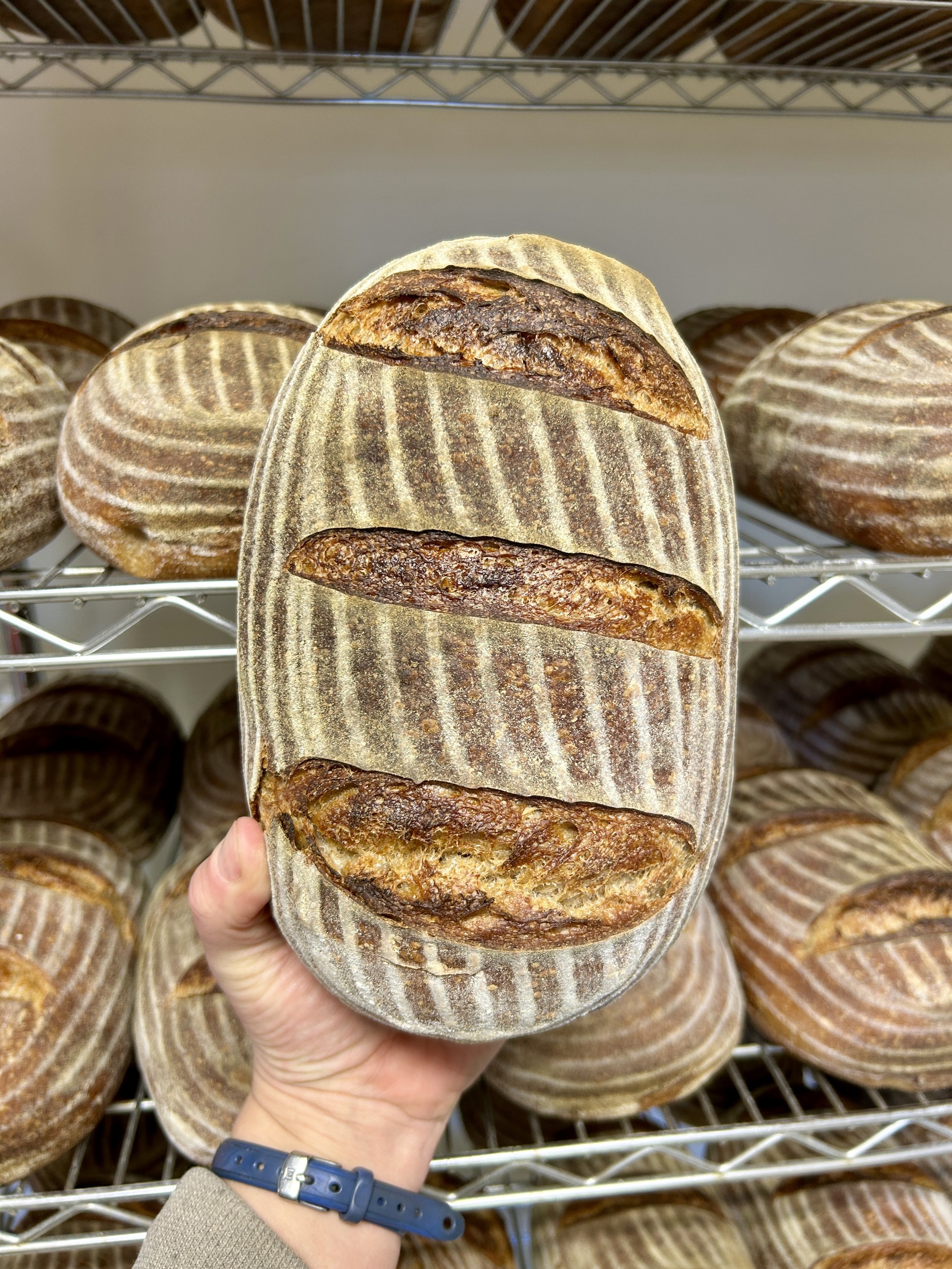 Original Sourdough Bread (PRE-ORDER FOR 12/20 PICK-UP)