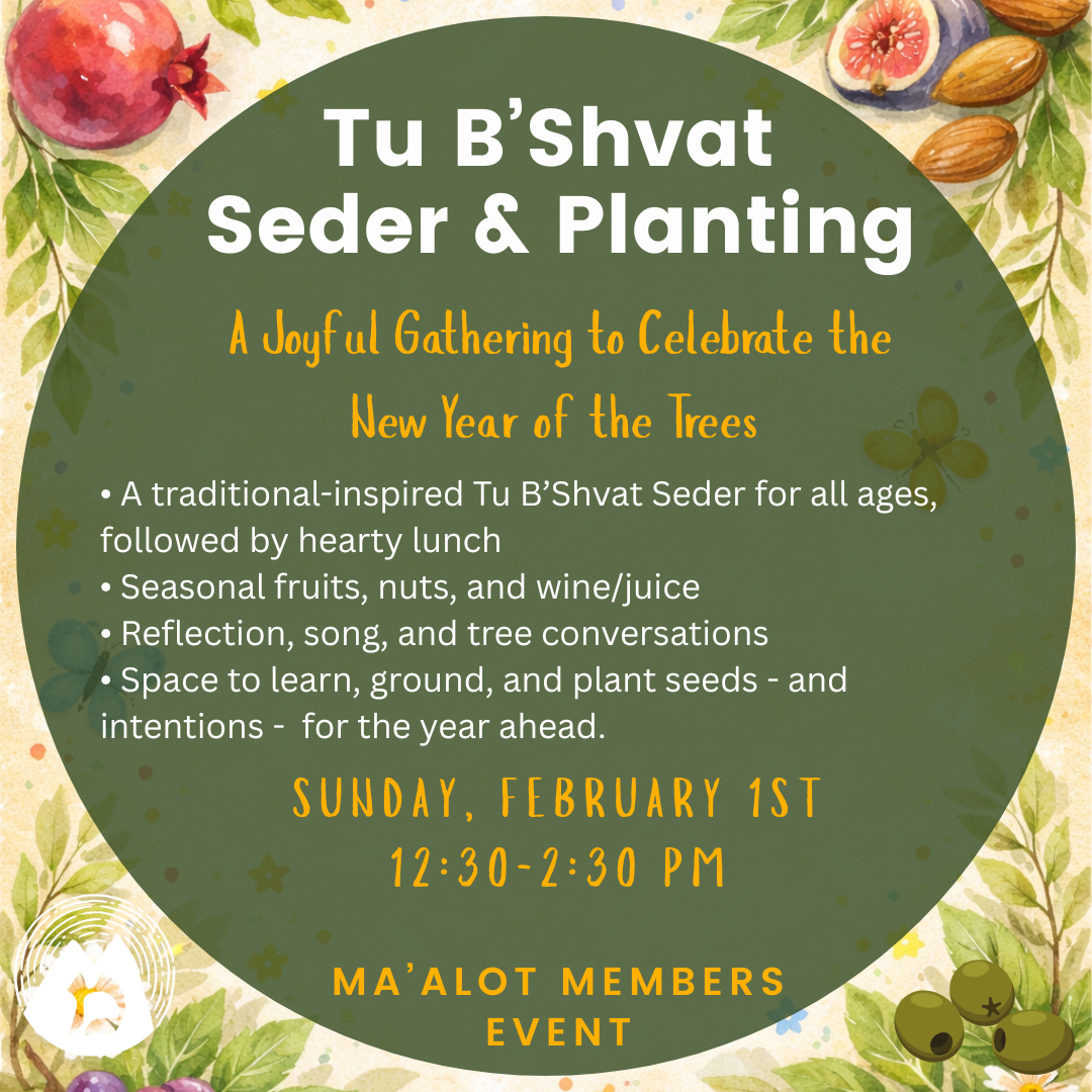Tu B'Shvat Seder for All Ma'alot Members