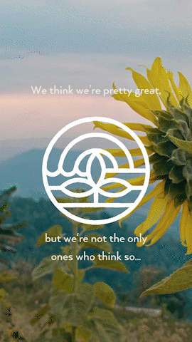 LK-_testimonials__5__AdobeExpress (1).gif