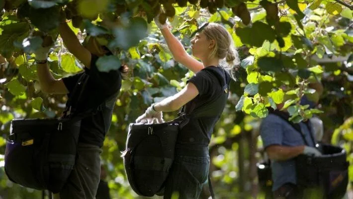 Employer-Assisted Work Visas extended by a further 6 months