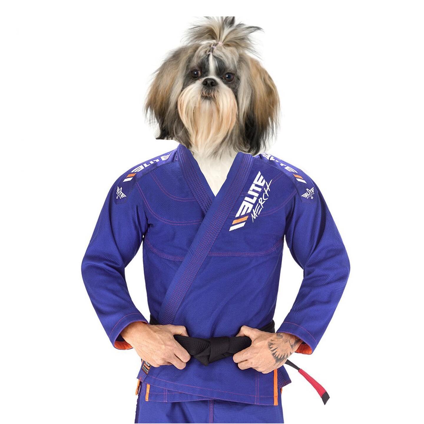 Hey there, all you jerky-jammy-jukejoint-jewjitzus!🤔🤣🥴
&bull;
Anybody up for a little Brazilian-Jiu-Shih-Tzu?🤪🙈🤣
&bull;
Little mash-up, made it a while back for a friend of mine who loves these types of dogs&hellip; mr. @beatnikvonzipper 😎✔️
&