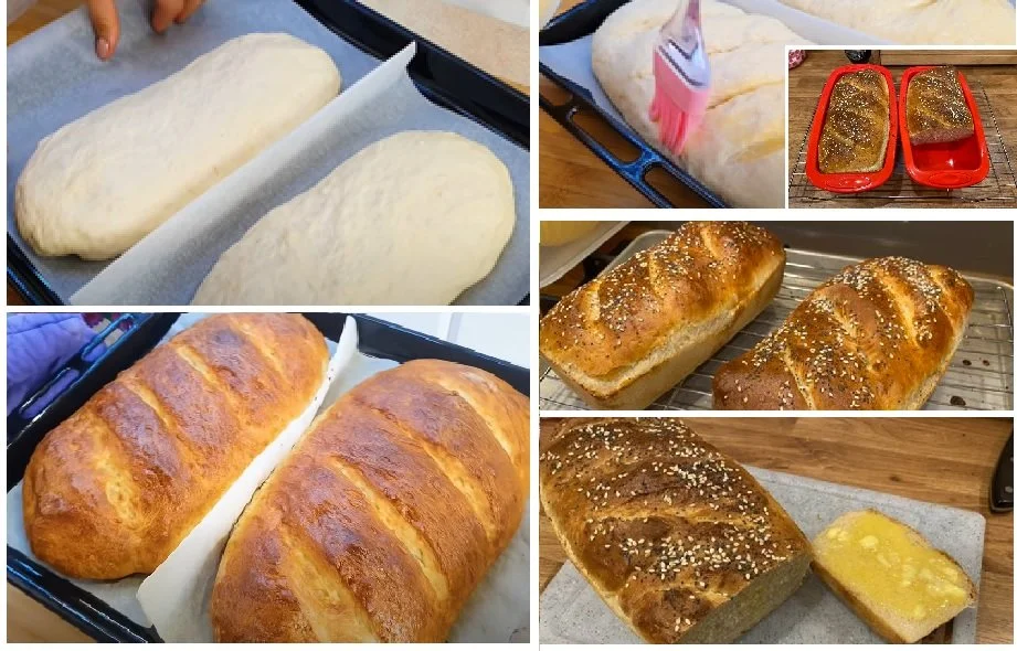 gavins homemade biltong