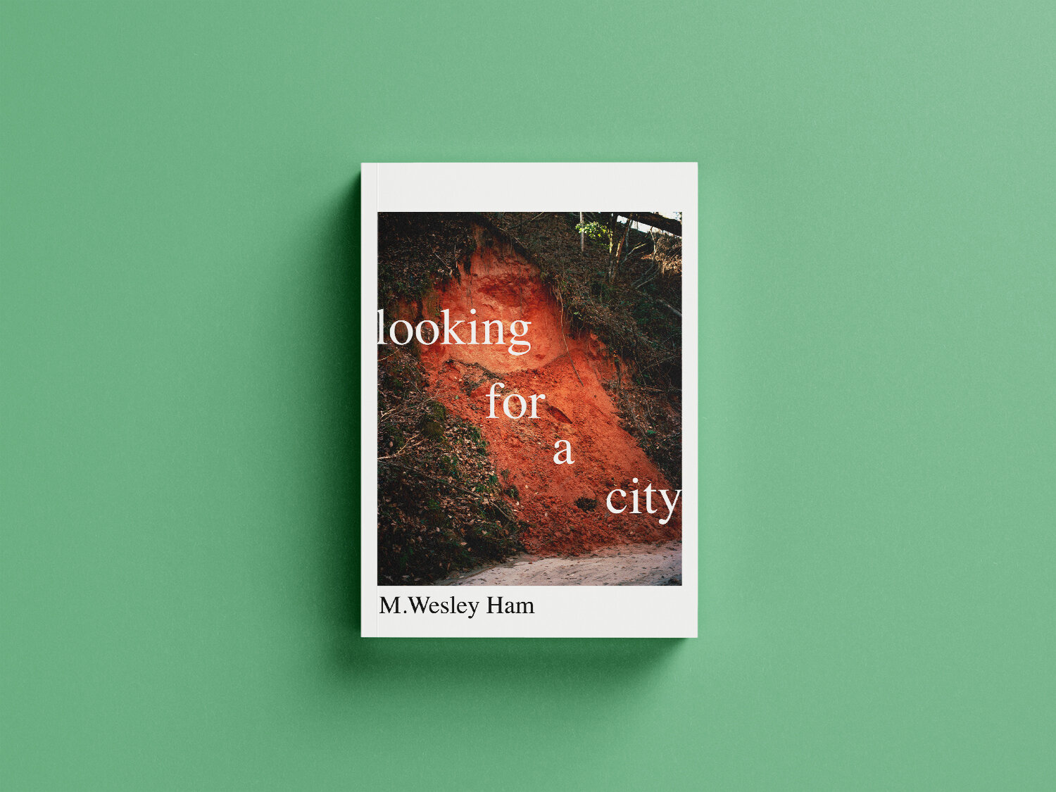 A book titled "Looking For A City" on a green backdrop.