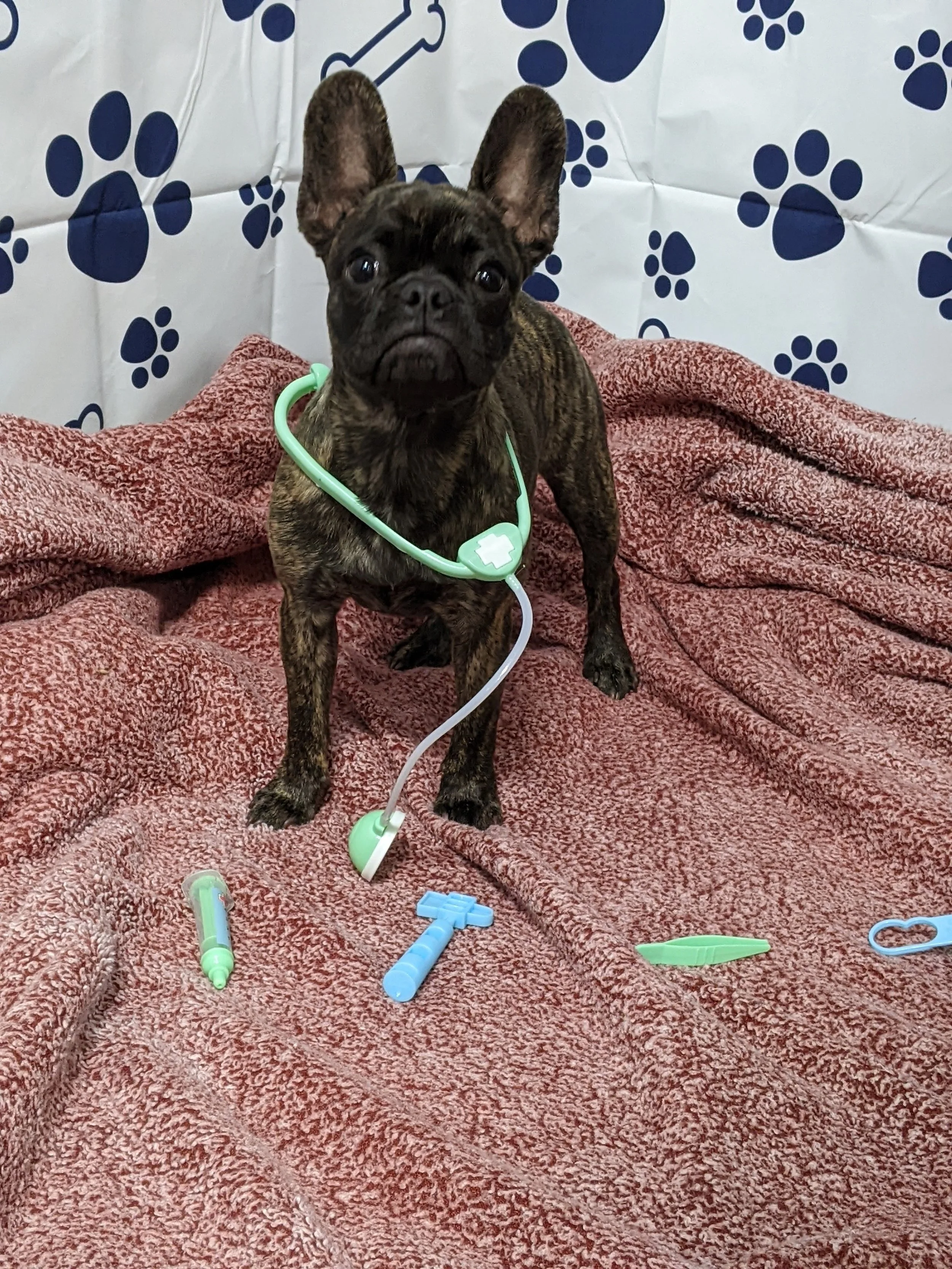 Birdie wants to be a doctor when she grows up.