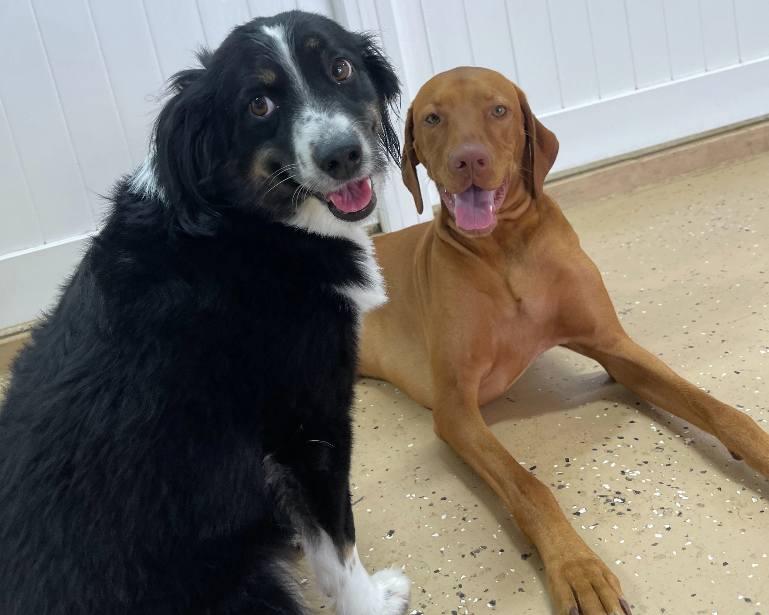 BFFs