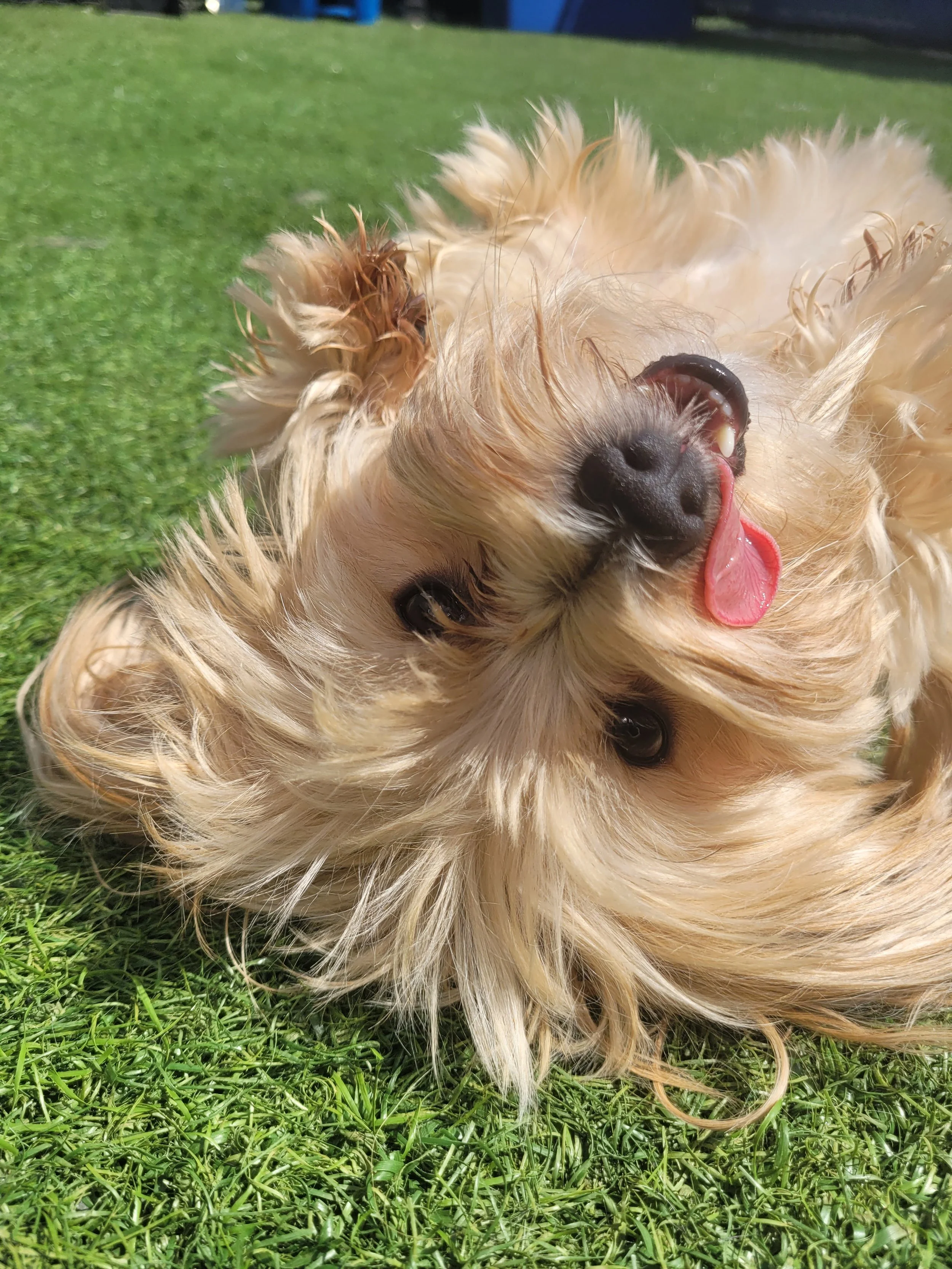 "Is this cute?" - Taylor