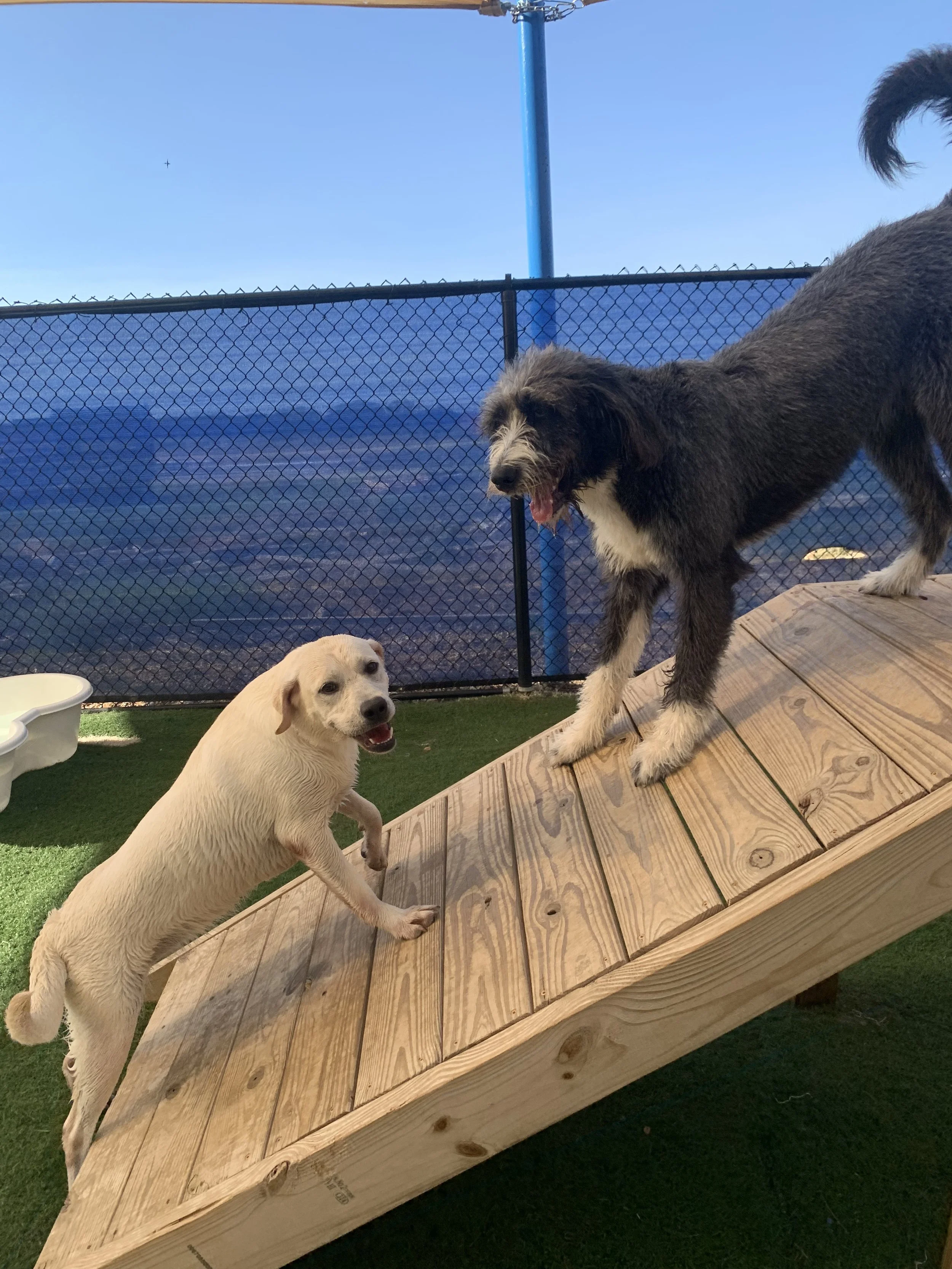 Dallas and Annie have a meeting on the bridge.