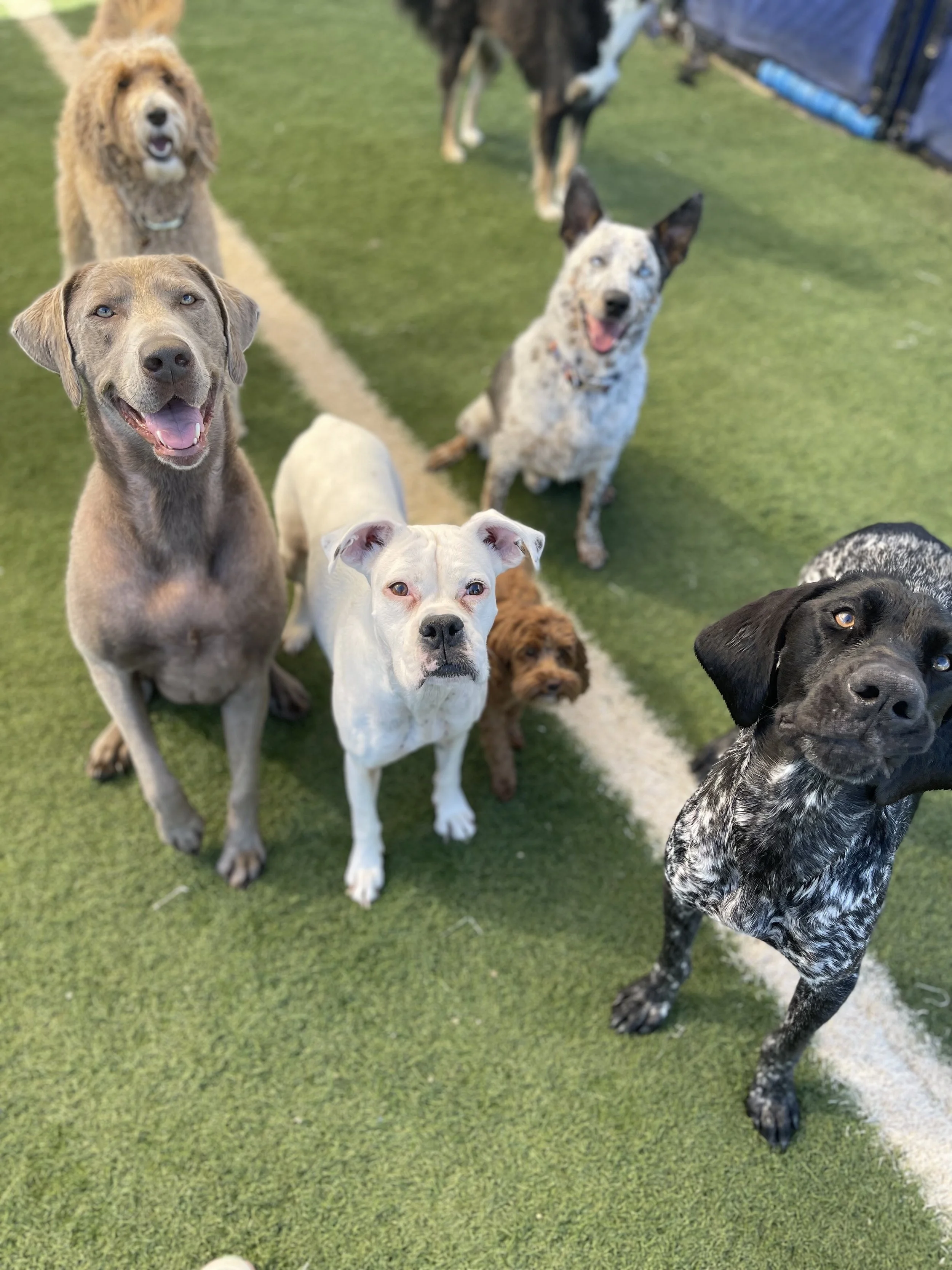 Whole gang's here.  Where are you?