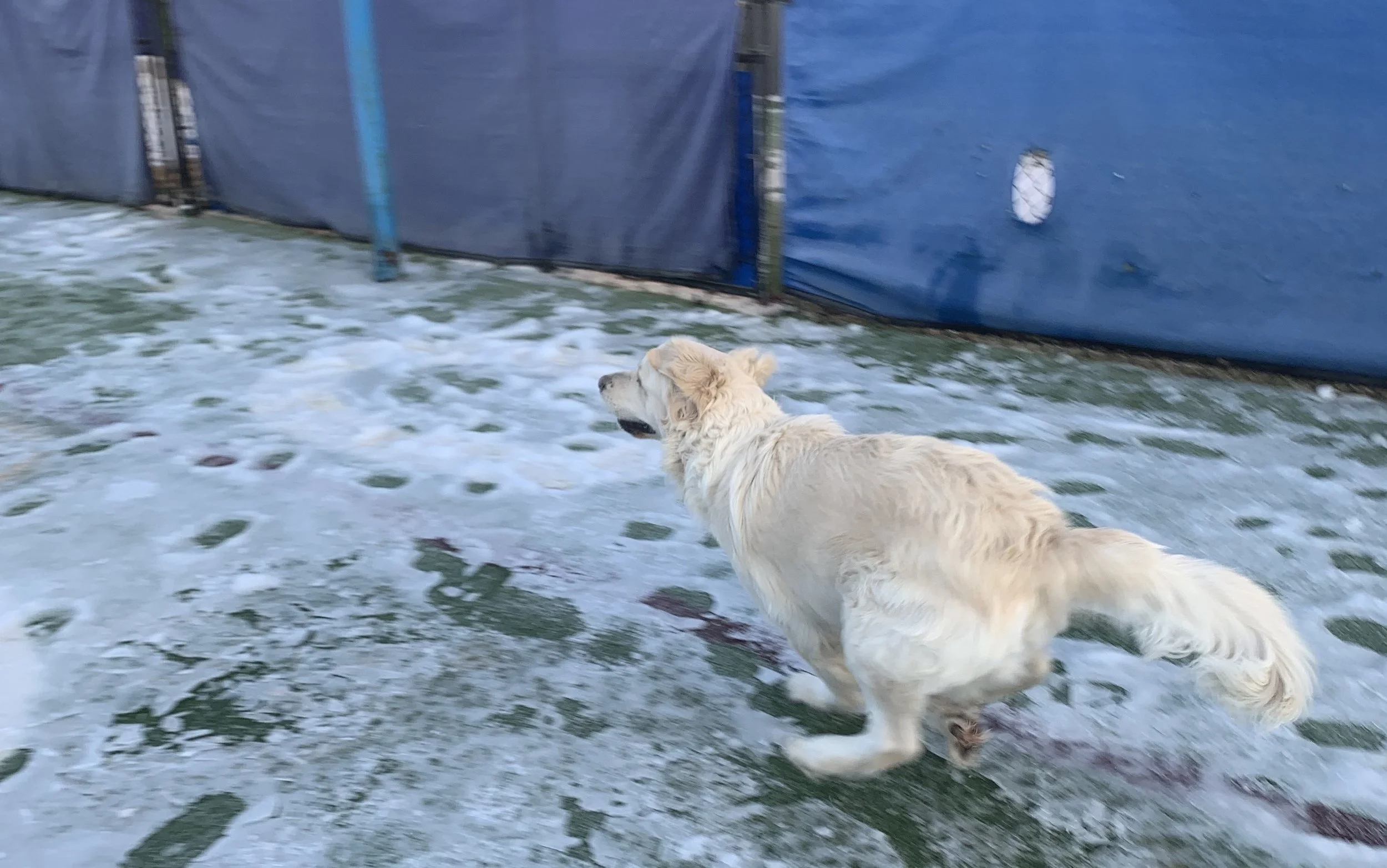 "The cold is the BEST!" - Kayne