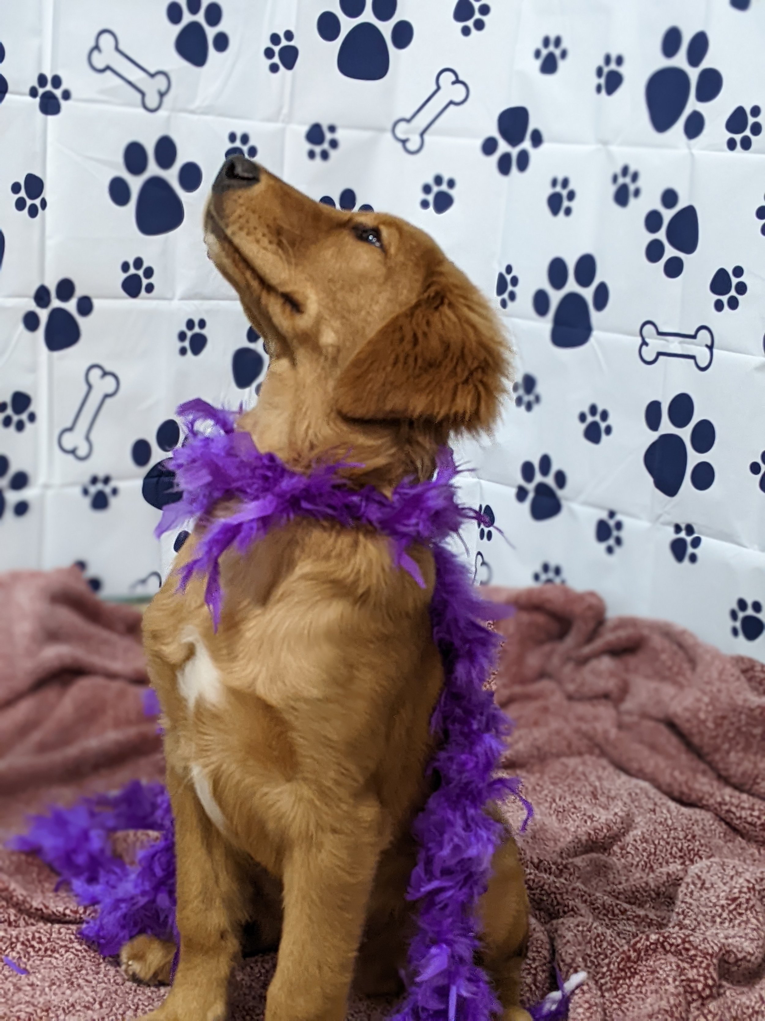 Winston being an absolute STAR!