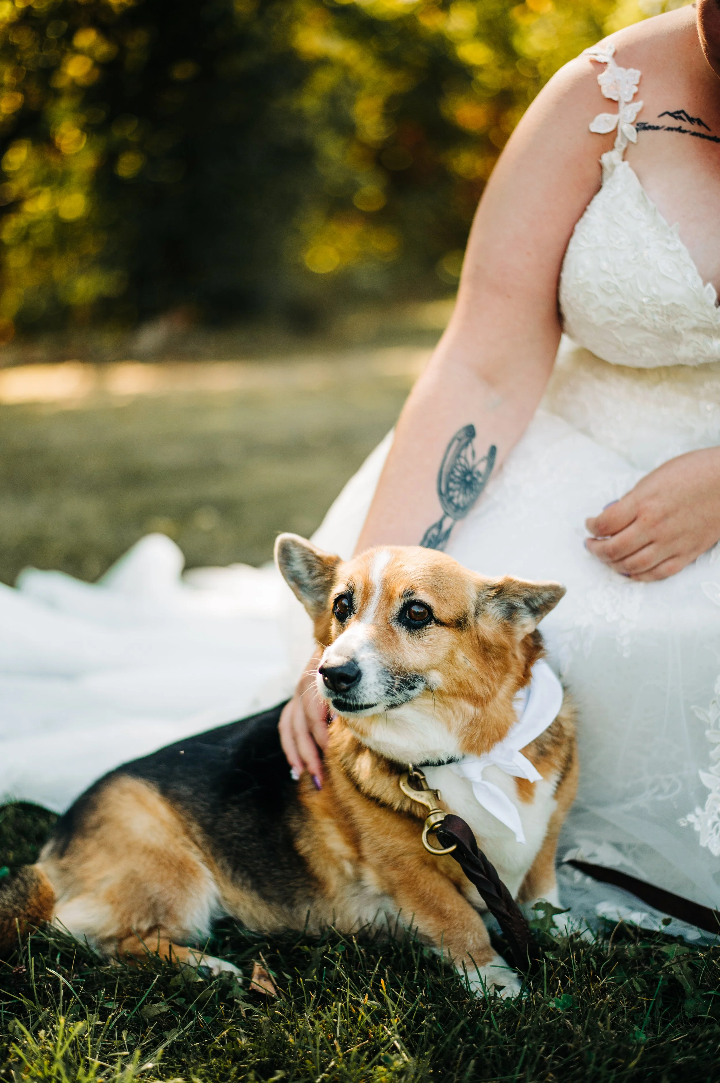 John & Jess October 4th 2025- Allison Kelly Photo-136.jpg