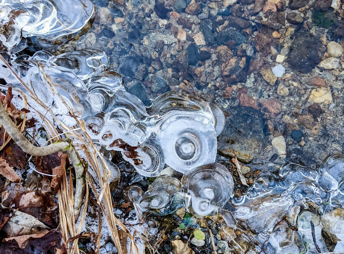 Great Snow: 21st Seasonal Node (December 7 – December 21, 2025)