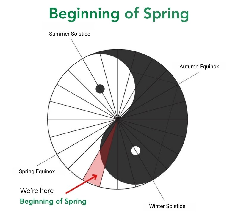Beginning of Spring: 1st Seasonal Node (February 4 – February 18, 2026)