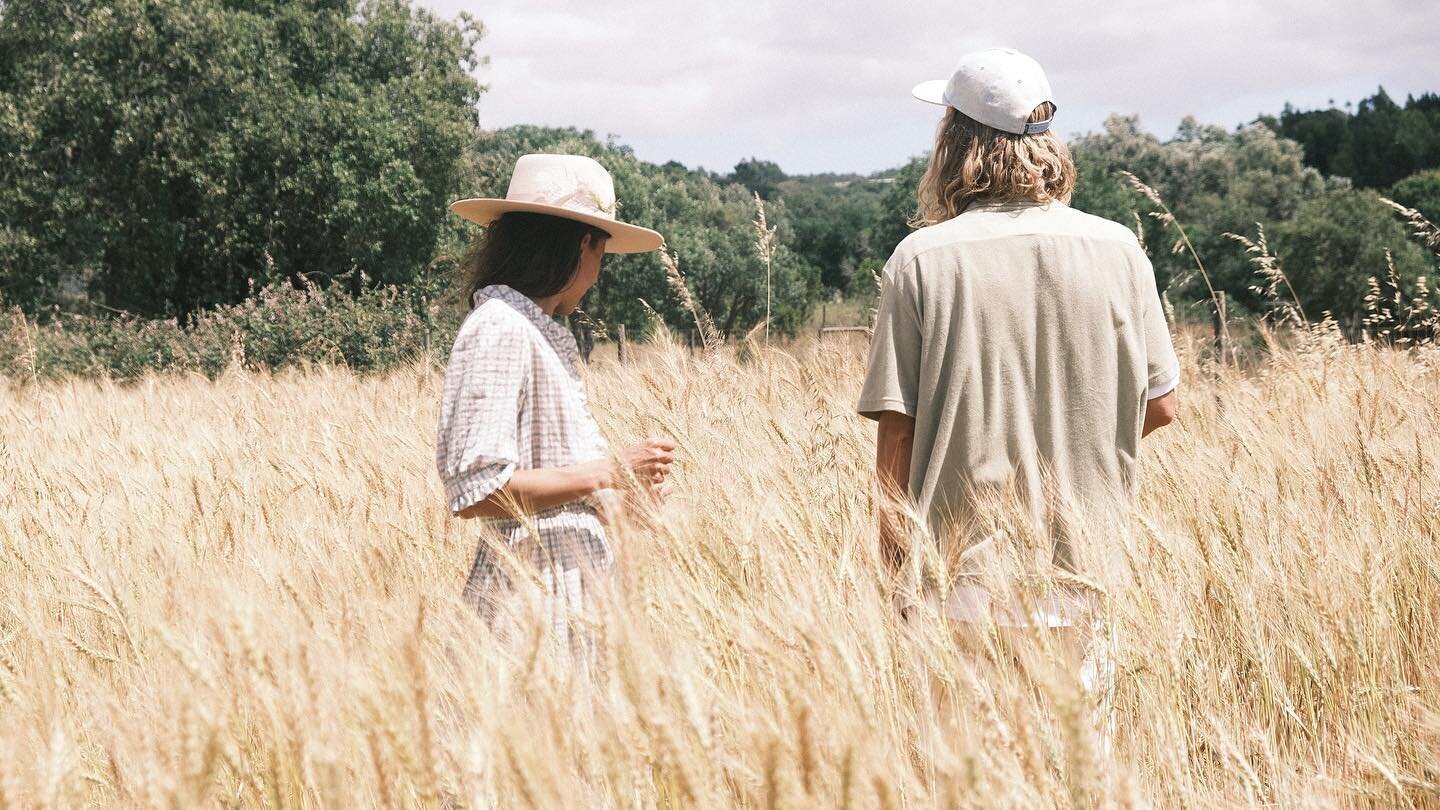 LATE SUMMER DAYS 🌾

The golden summer light is something very special.
Oftentimes we can feel a wave of melancholy moving through us. We say goodbye to this summer 2022 with tremendous gratitude.
Now is the time to surrender to a long exhale and gen