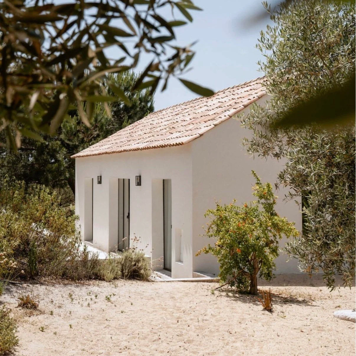 November in Portugal π€π
A journey to slow down, reconnect and breathe beneath the Atlantic sun.
Only 2 spots left for our Breath Retreat | Nov 4-9 
We’d love to have you with us. πΏ
#breathworkretreat #breathworkteachertraining #breathinge