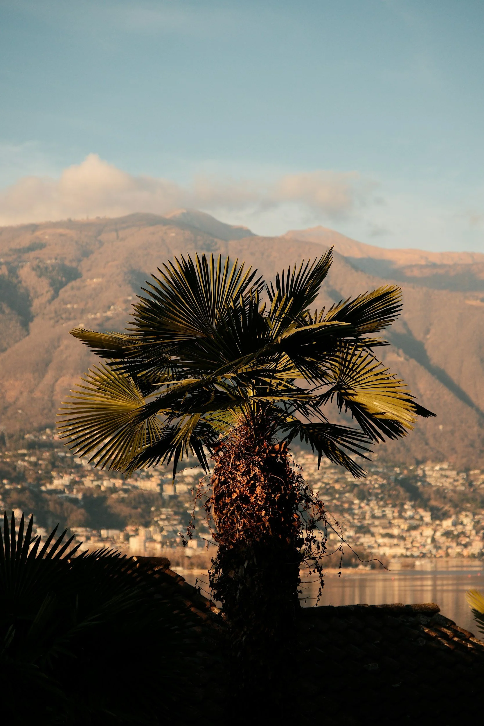 Casa Corvo Ticino, Switzerland