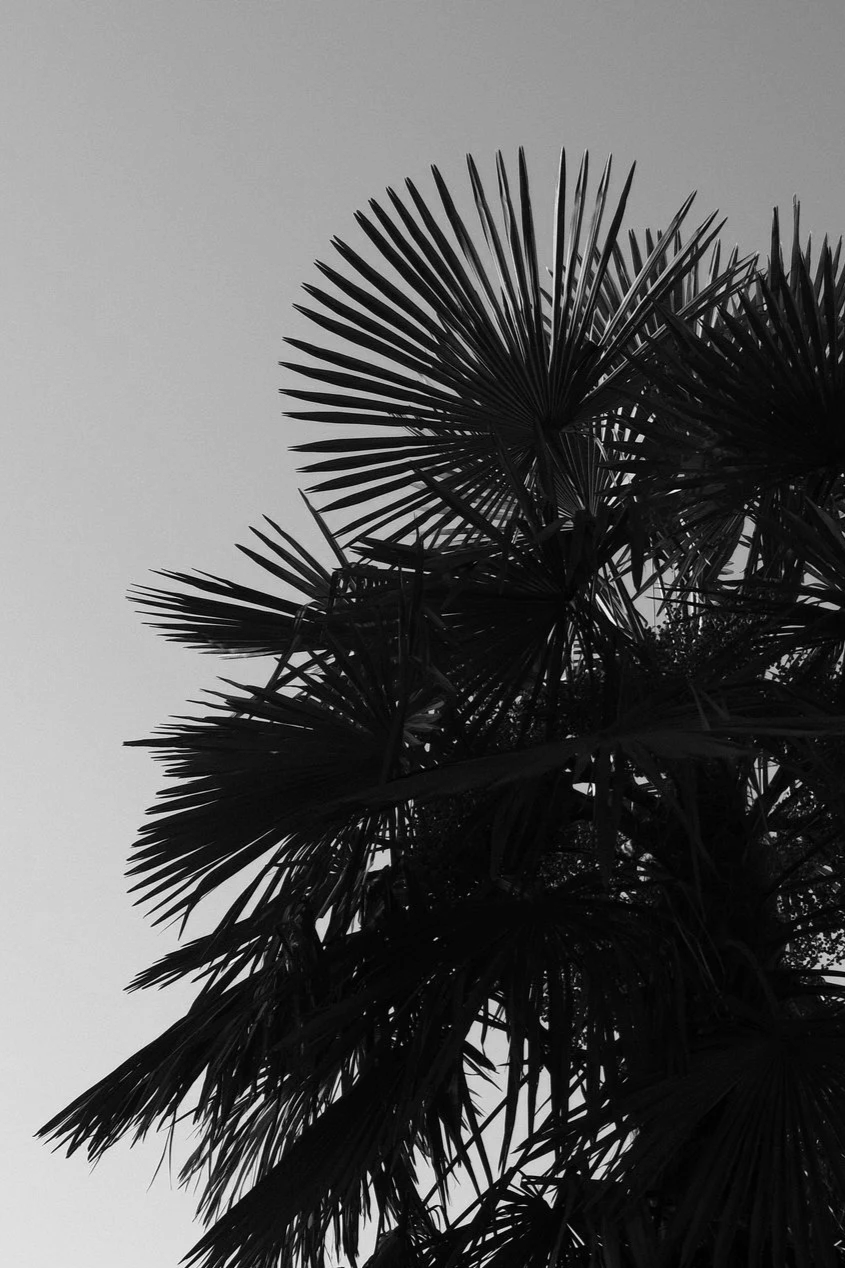 Yoga Retreat Schweiz