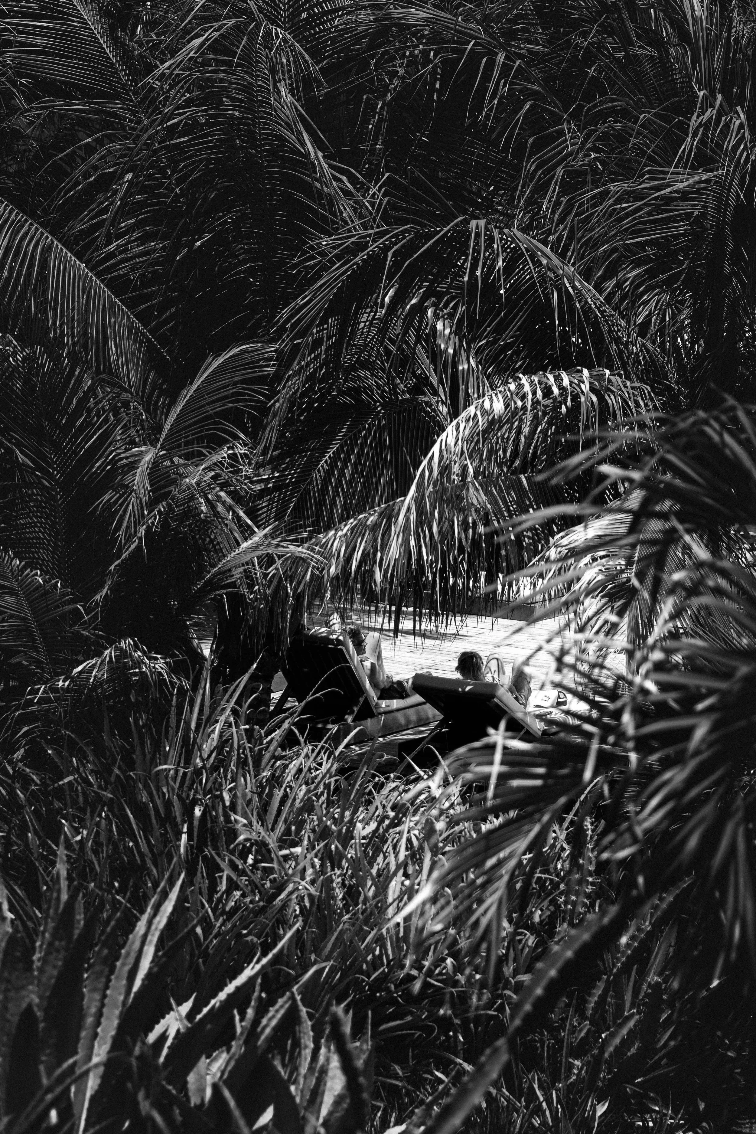 Nicaragua Surf Retreat