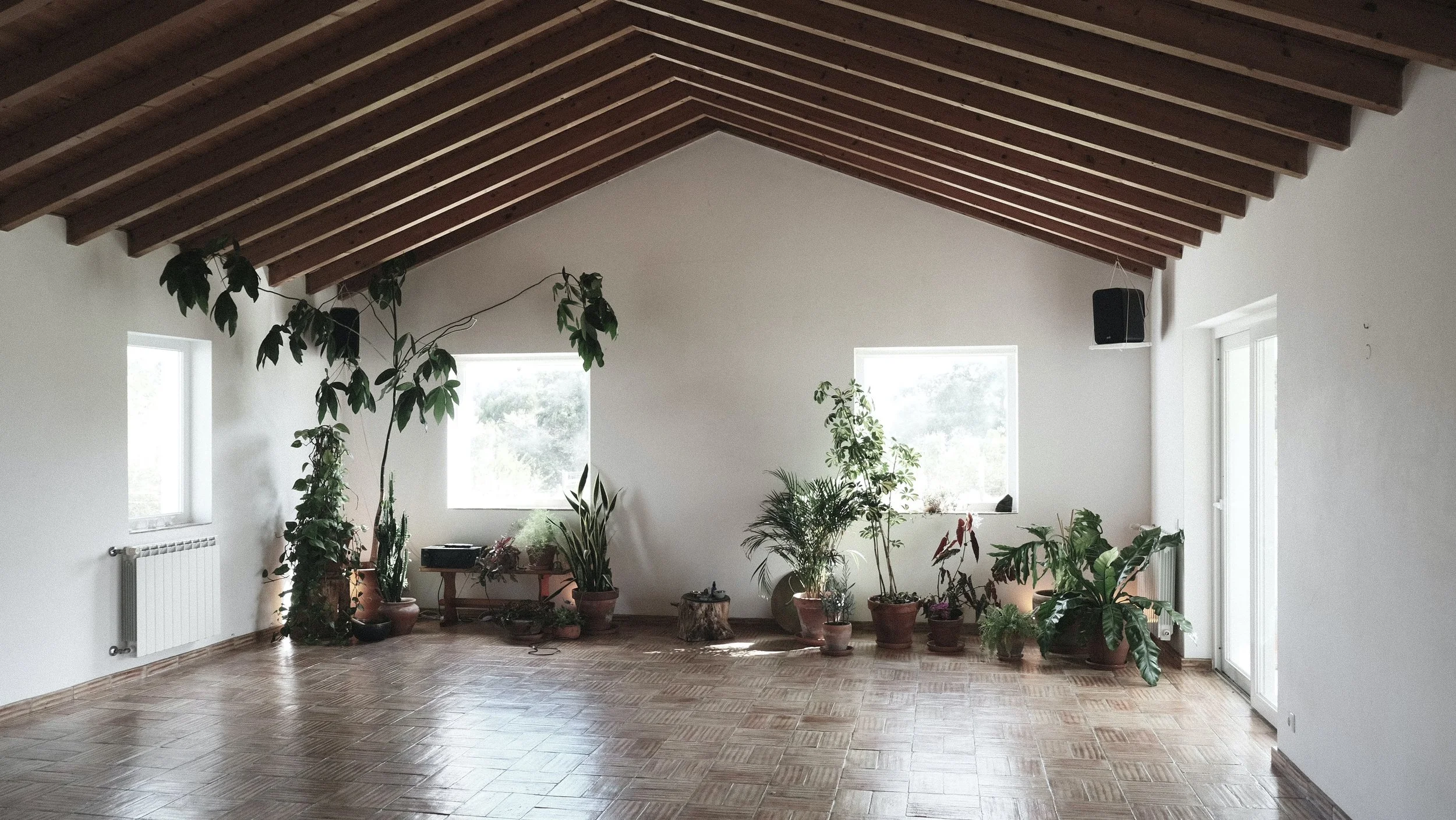 Cocoon, Portugal
