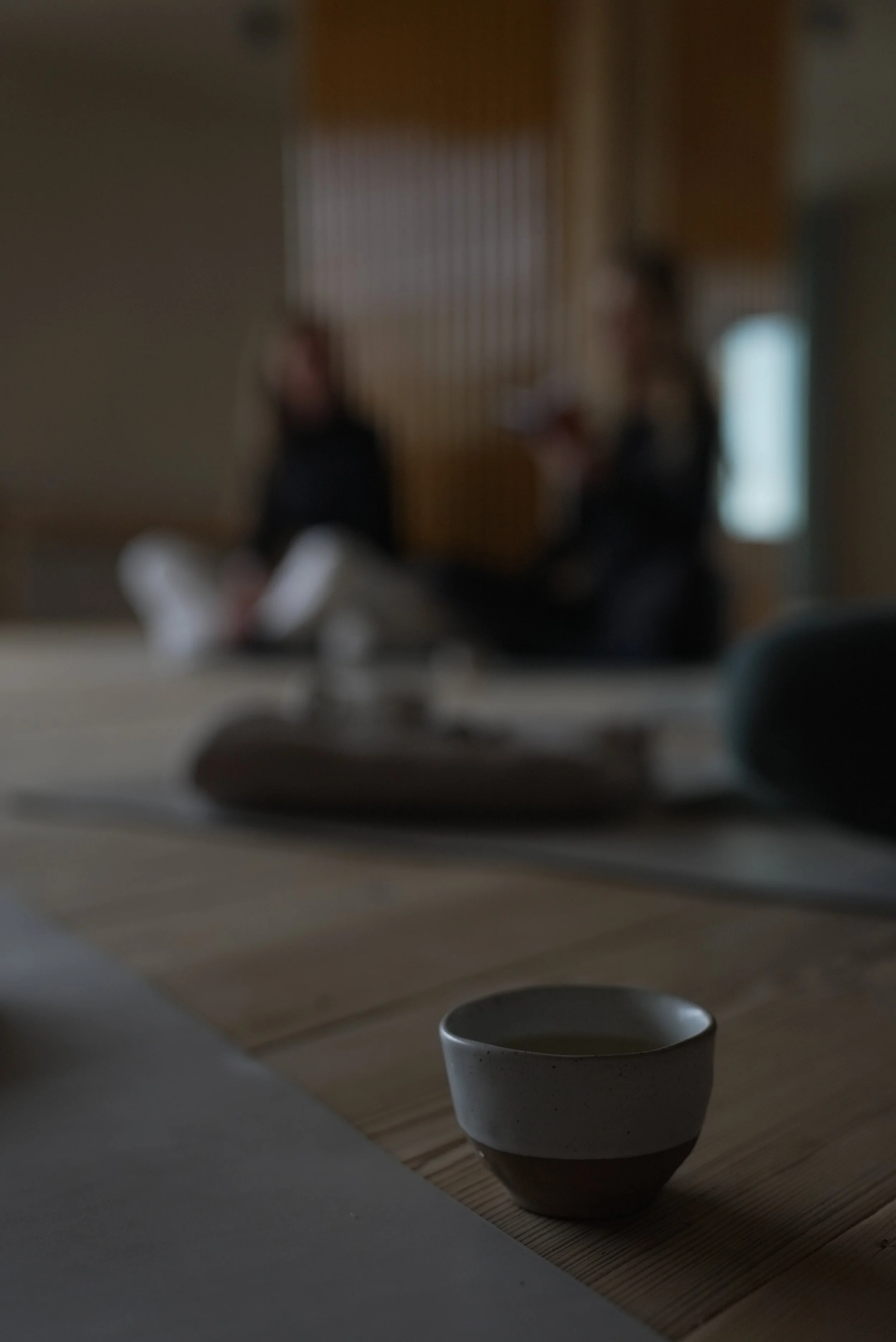 Breathwork Retreat