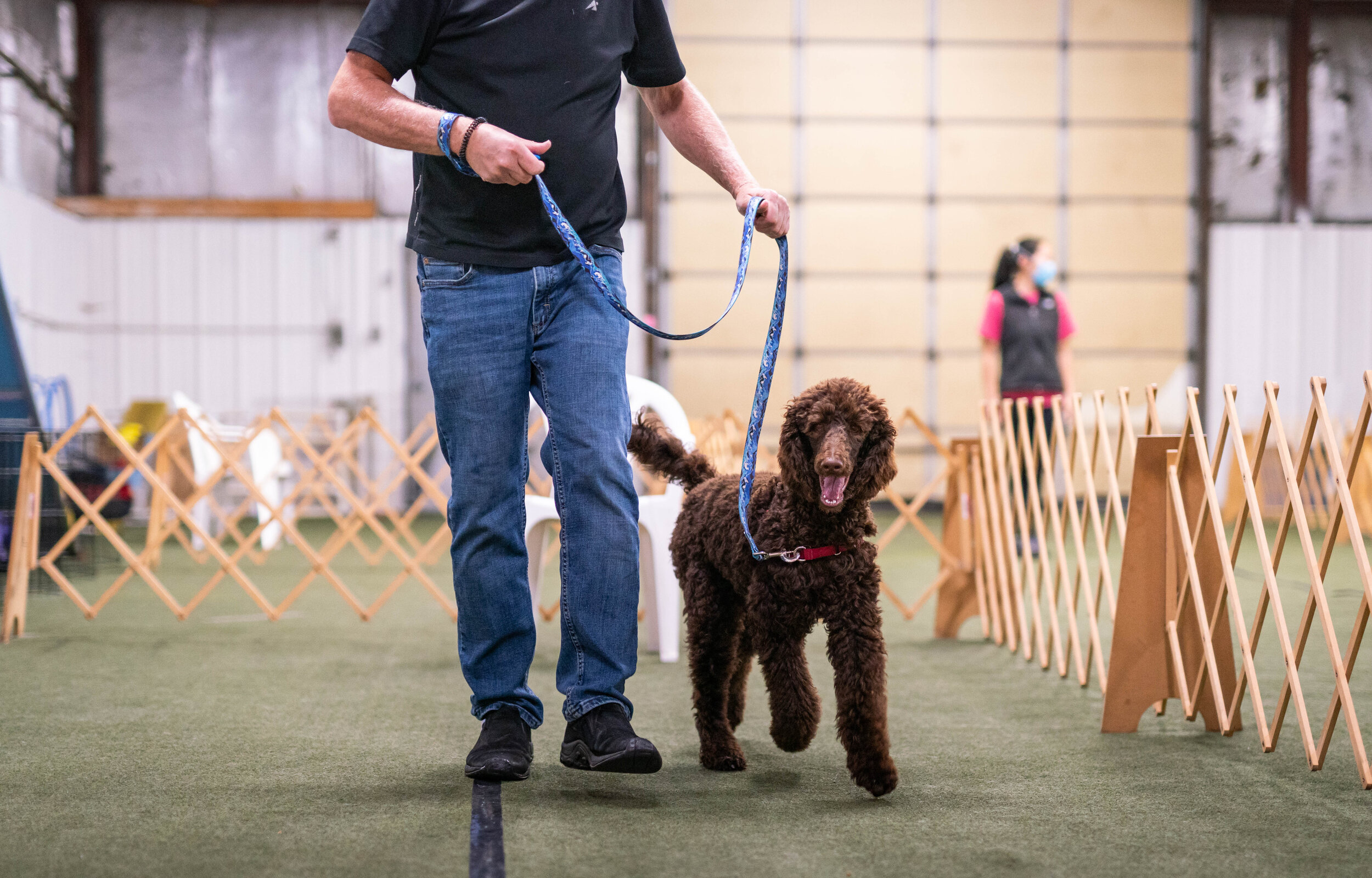 Waggle - Busy Buddy - LA's Dog Trainer