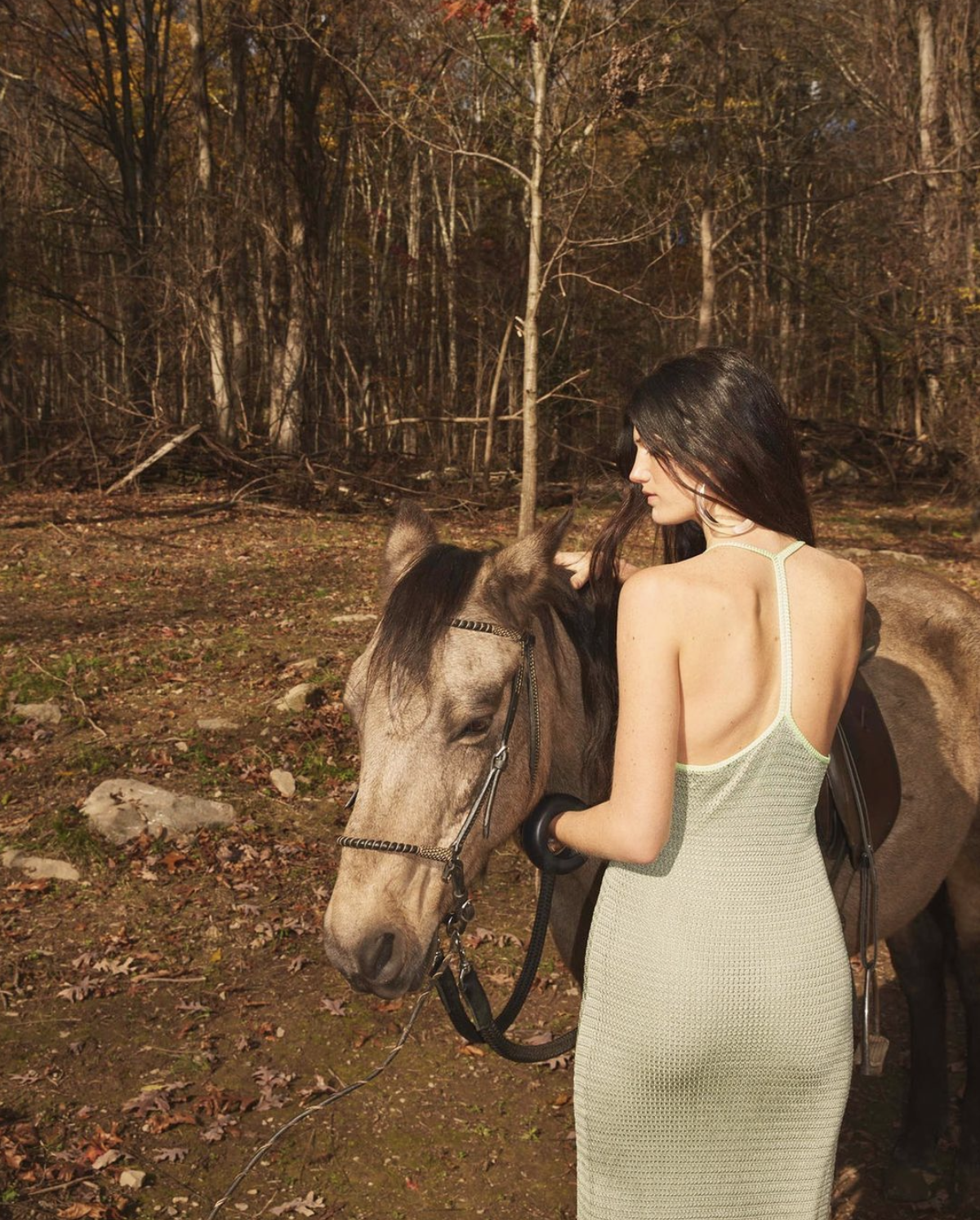 Screen Shot 2024-01-28 at 10.36.48 PM.png