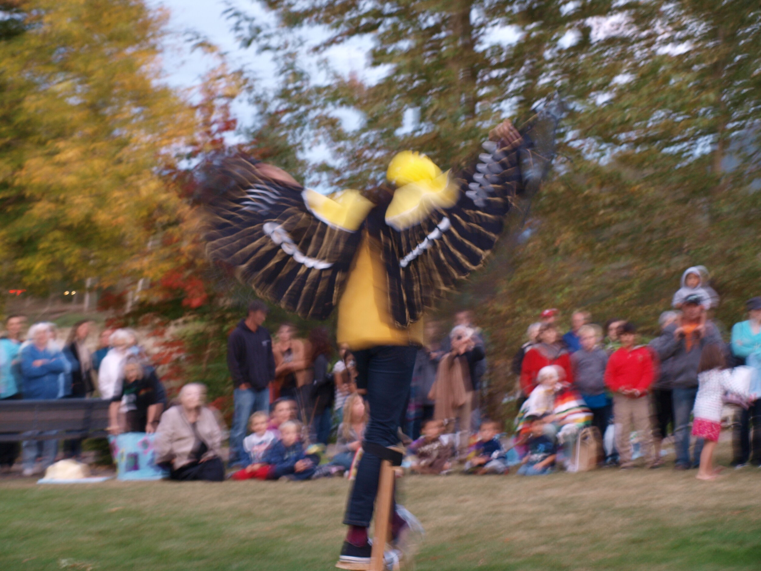 goldfinch.JPG