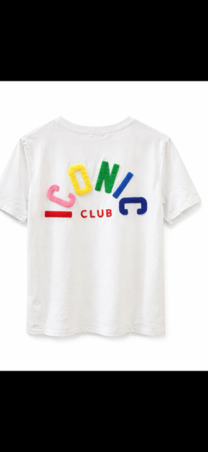 TEESHIRT ICONIQUE TAILLE 36/42