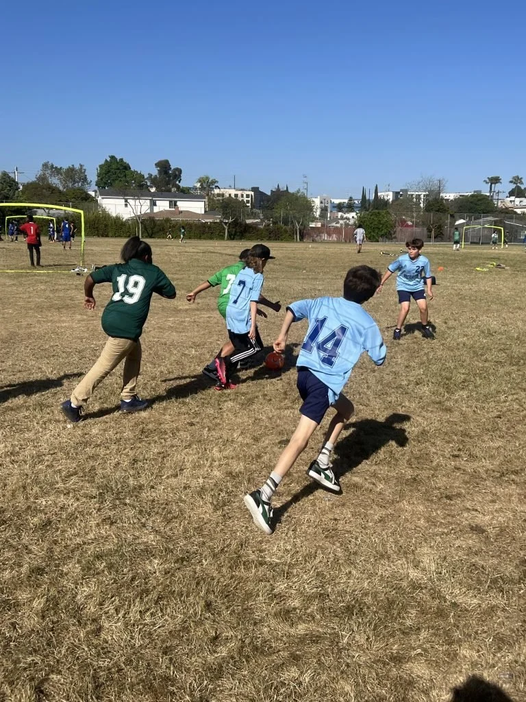 IMG_2359-768x1024.jpeg