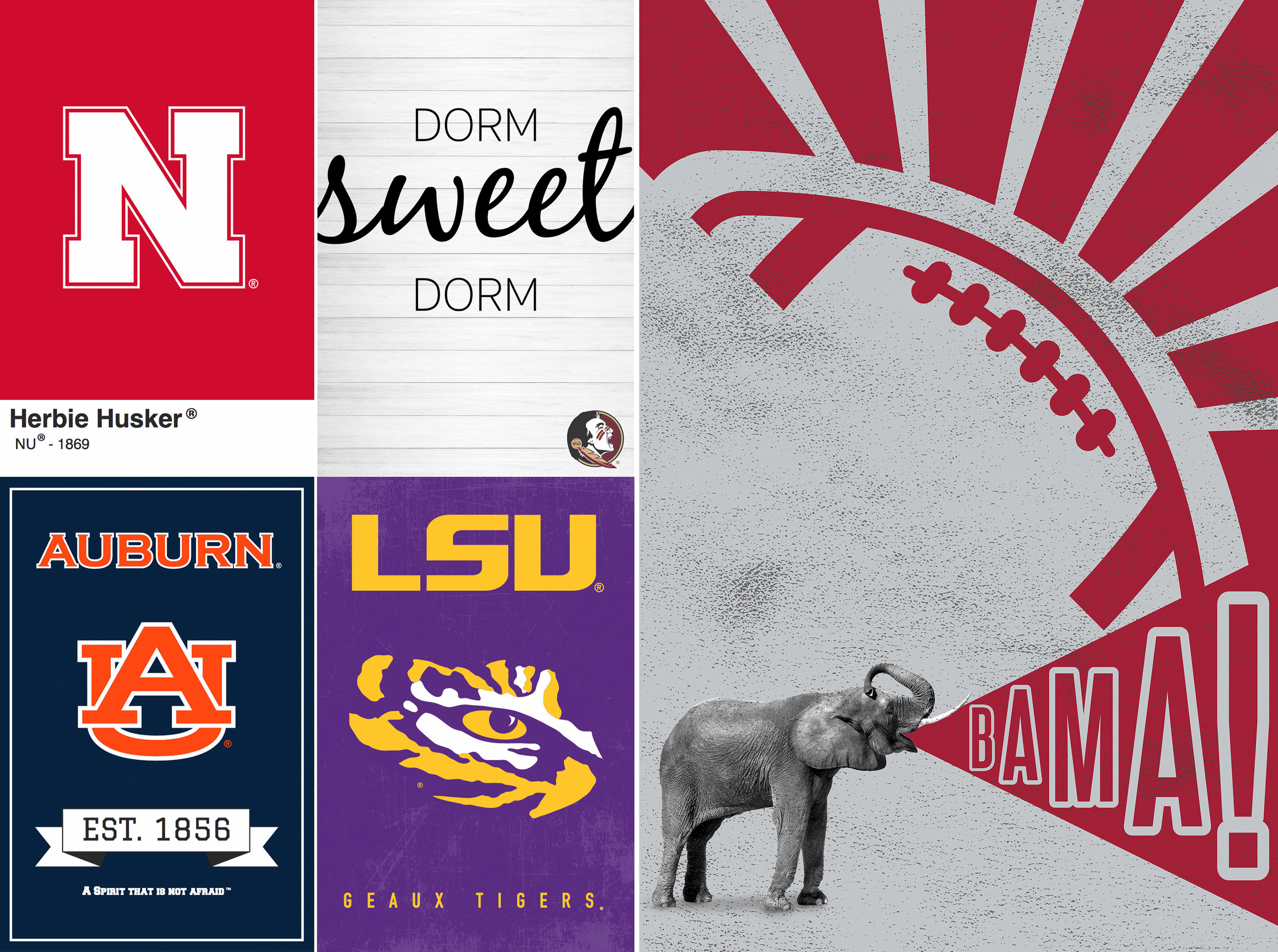 Design Proposals for the Collegiate Licensing Company