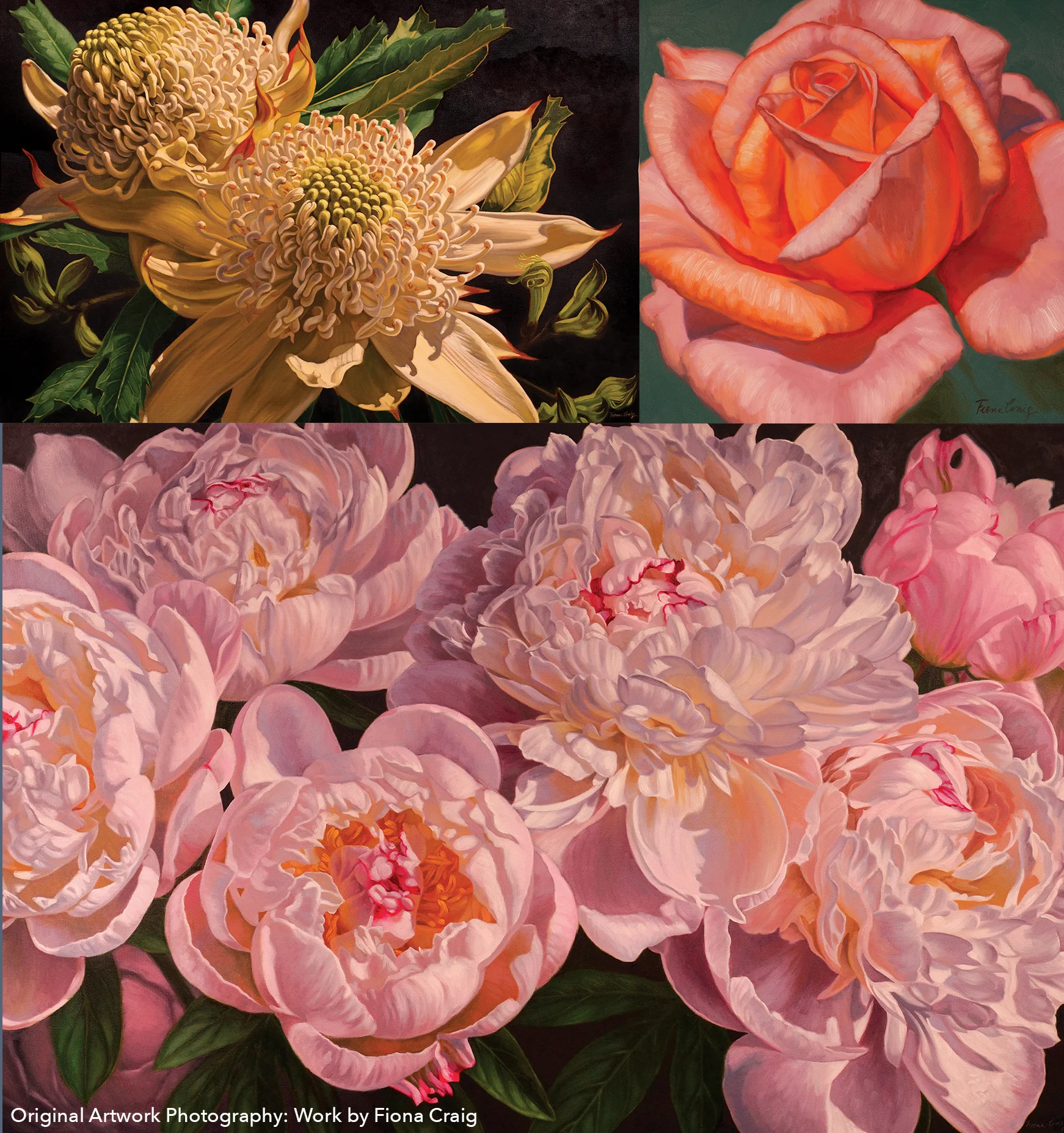 Photography of Original Artwork, Painted by Fiona Craig