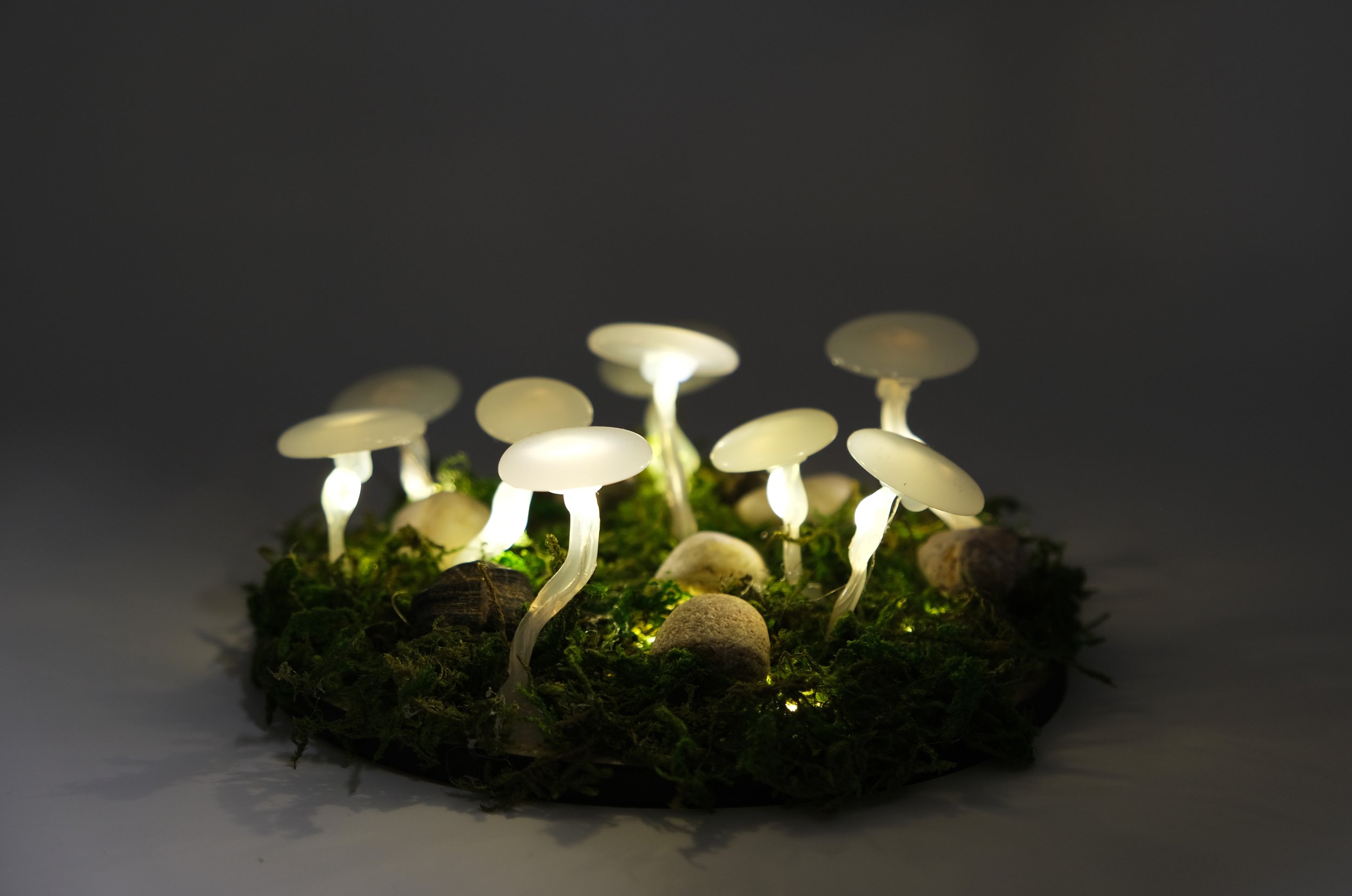 Glowing Mushrooms