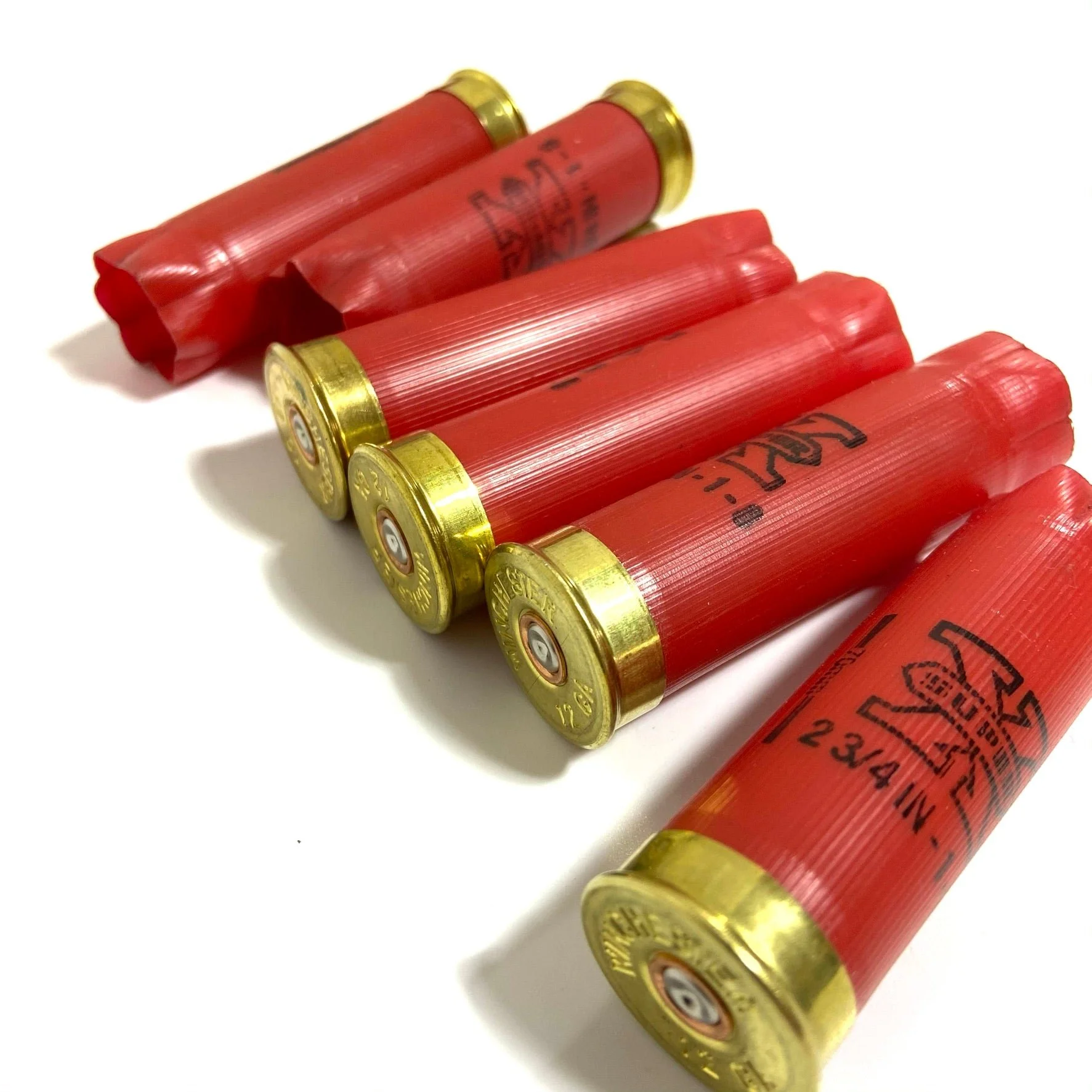 shells.jpg
