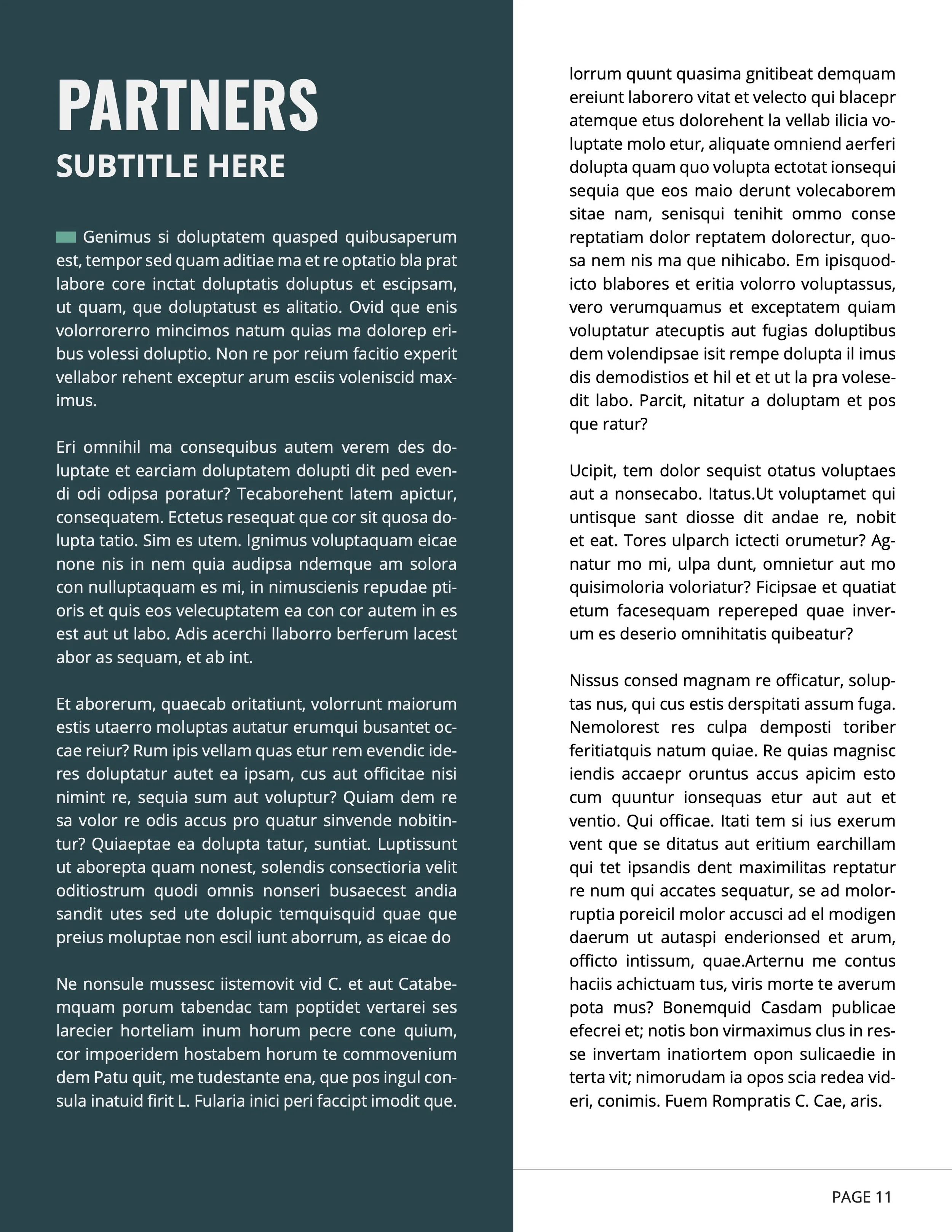 annual report -template (dragged) 6.jpg