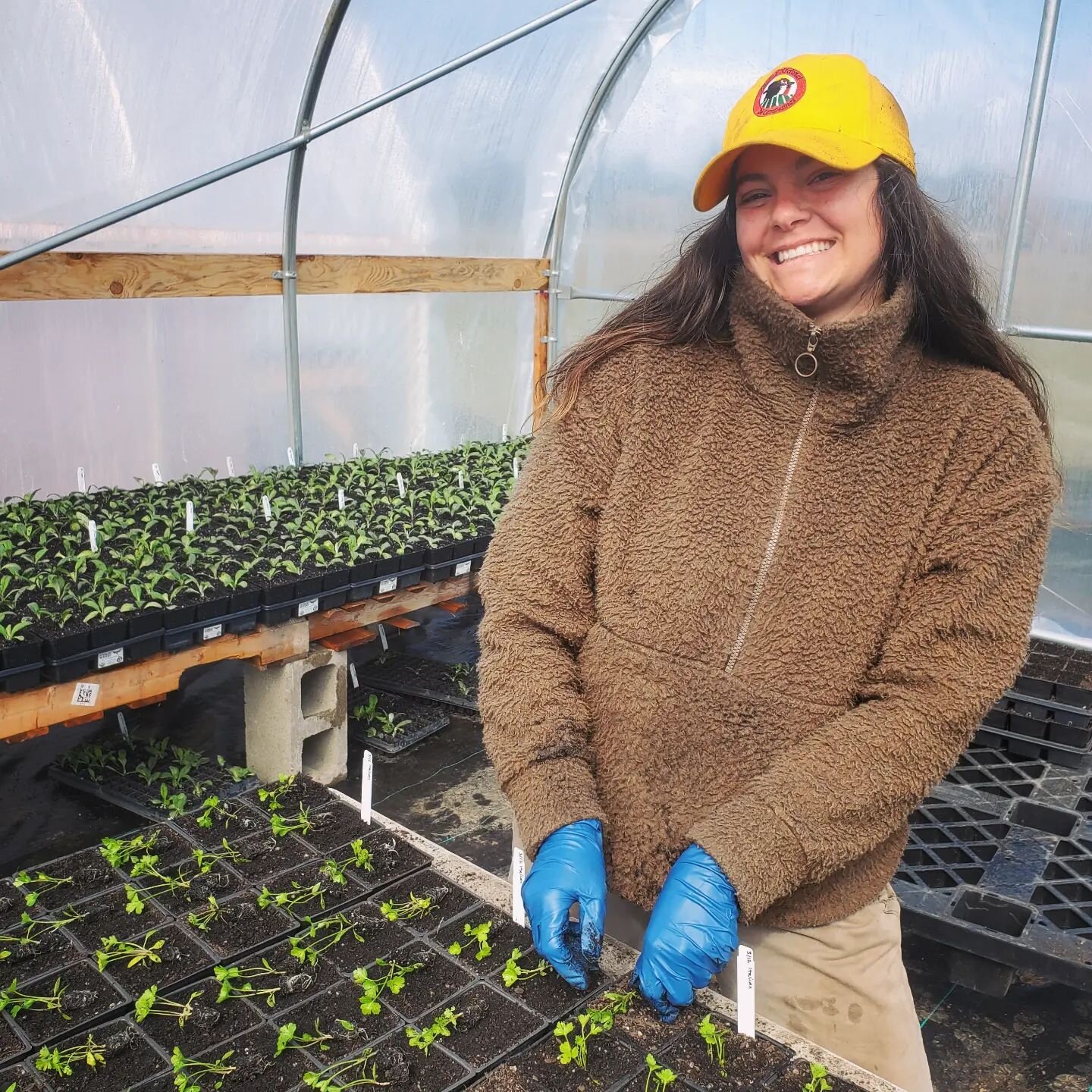 Meet Sara, our newest crew member who is very not new to growing plants! 🌱 Sara has years of experience growing cut flowers and veggies at various farms and is stoked to be focusing on the babies with us this spring.  She's also an excellent bagel m
