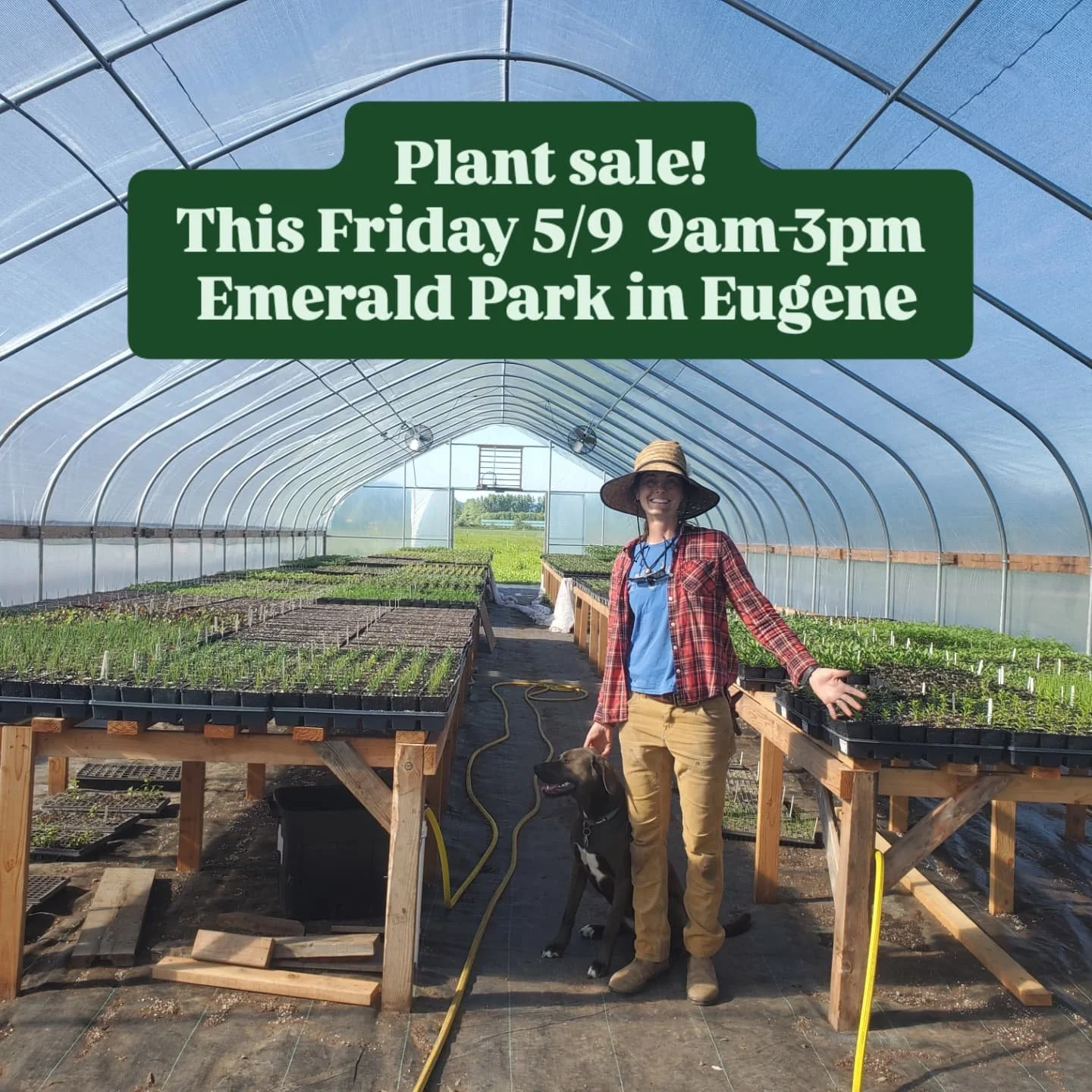 Come get your garden from us this Friday, 9-3 at Emerald Park community center in Eugene (off River Rd). We'll have a wide selection of flowers, herbs, tomatoes, peppers, cucumbers, squash, and more! Plus 10% of proceeds go to support the community c