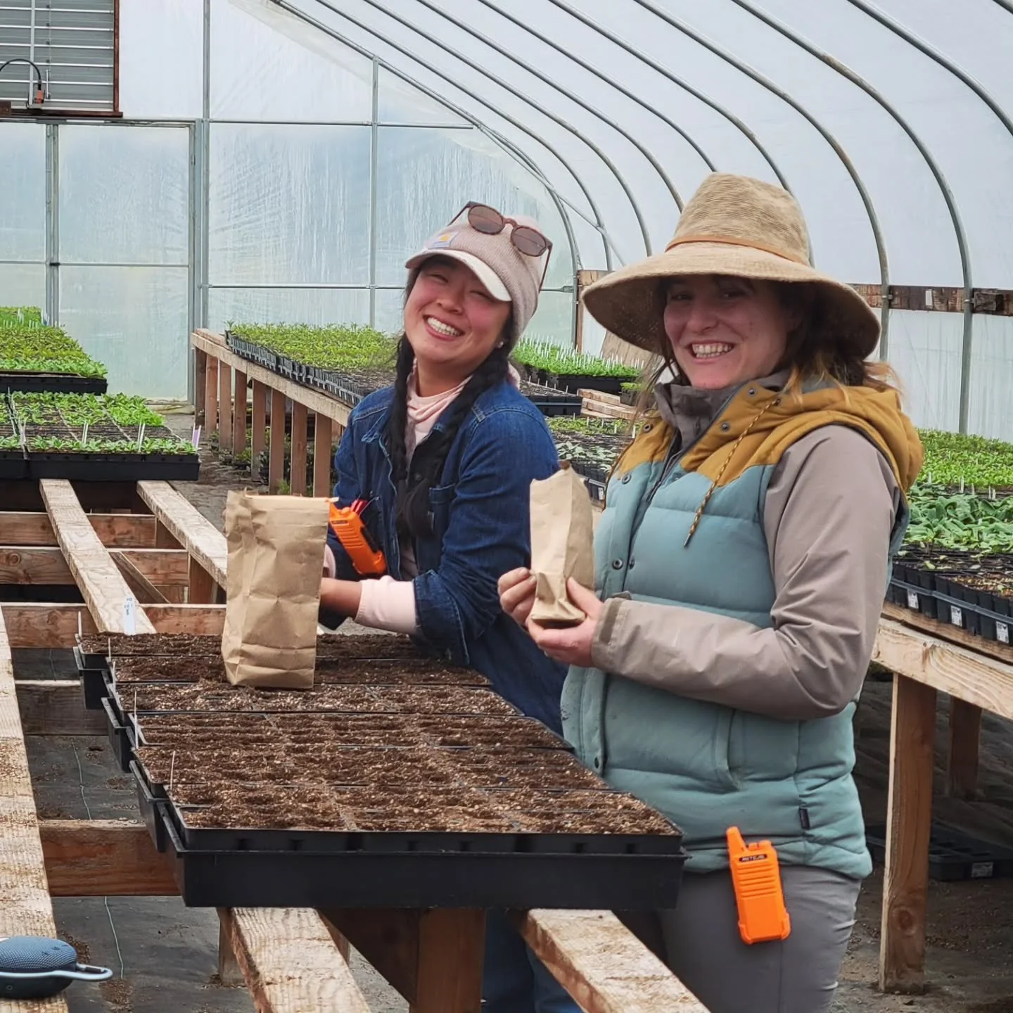 Just over here planting more seeds 🌱

Did that false summer get you out in your garden? Are your cloches and cold frames and funky sheet holder-uppers ready to protect some tomatoes from the inevitable late spring chillies? 

Our parade of spring cr