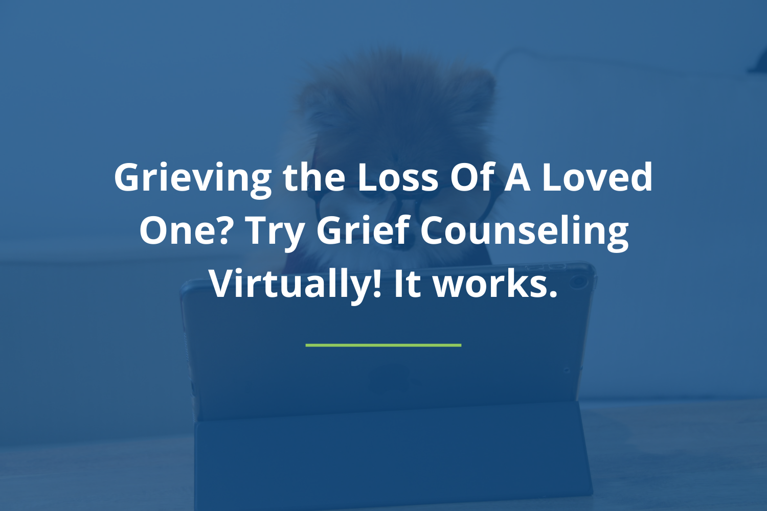 Grieving the Loss Of A Loved One? Try Grief Counseling Virtually! It works.