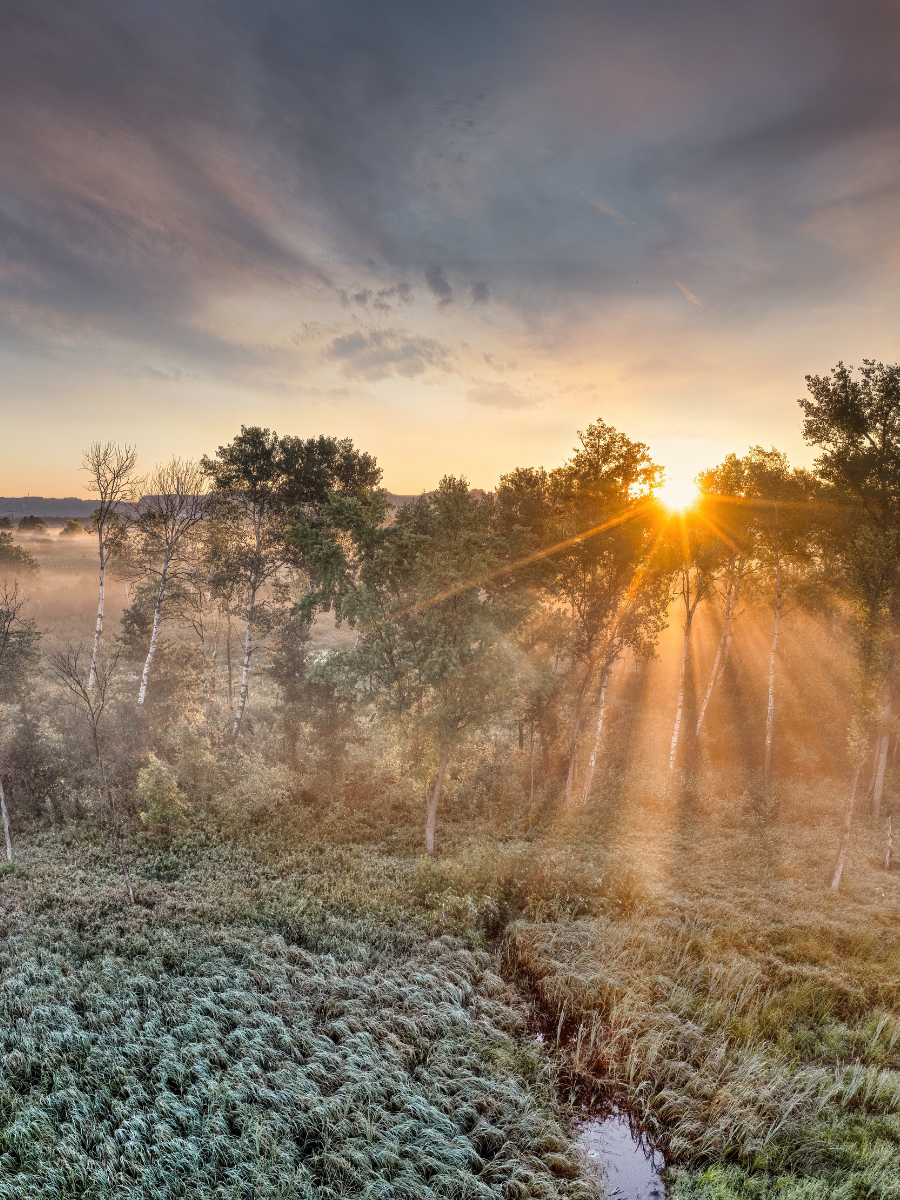 Art + Breath + Body: A Trio for Calming Mom Anxiety from a Postpartum Therapist in Denver