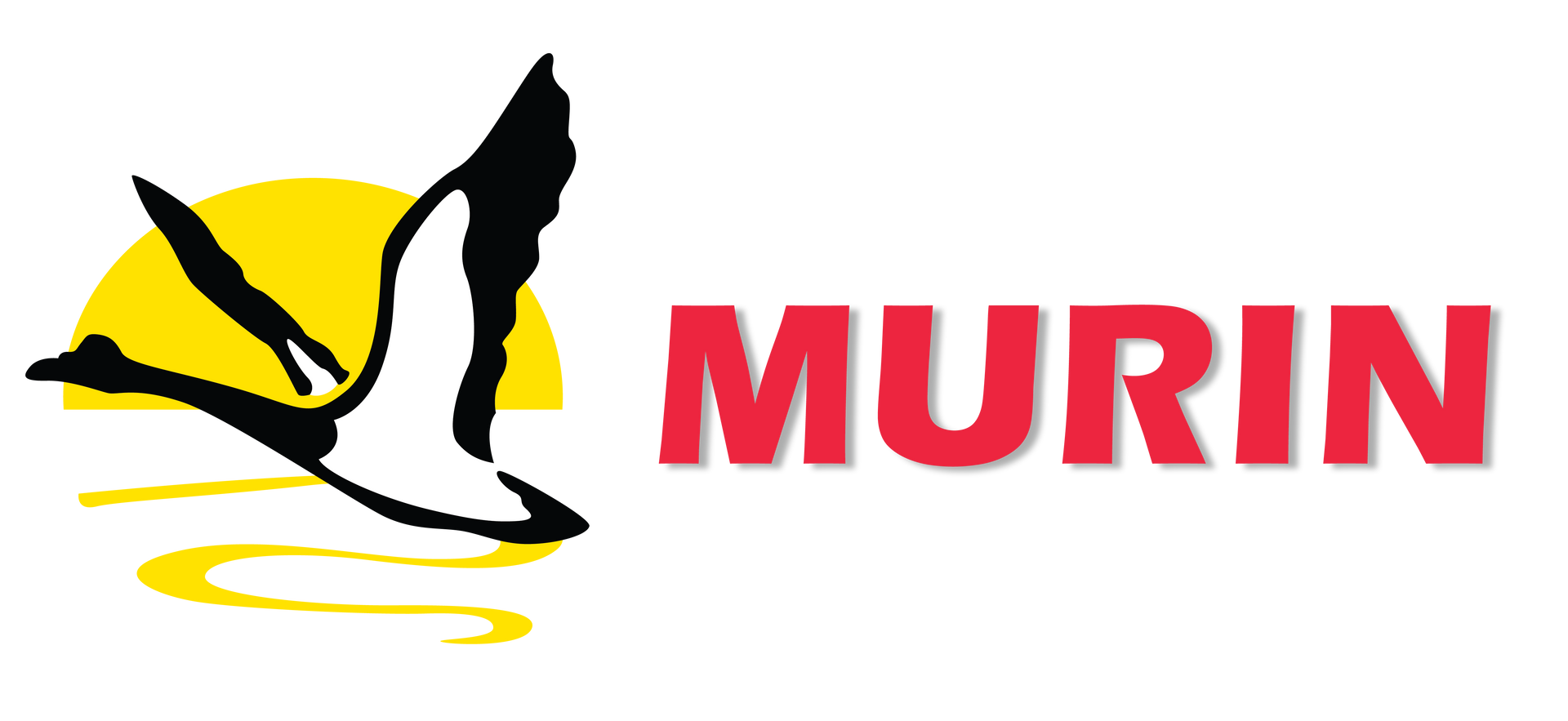 MURIN+Logo-05+Clear+Background.png