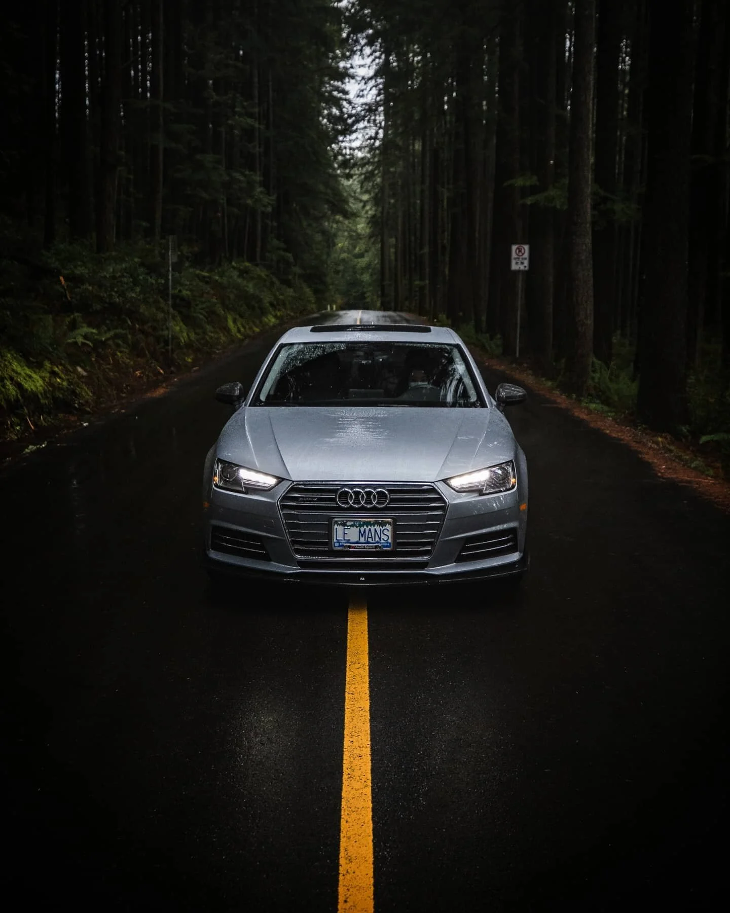 Them silver cars really pop in the low forest lighting. 👌👌👌
🏎: @florett_wolfie 
.
.
.
.
.
#b9 #b9a4 #audia4 #audi #quattro #quattrolife #a4 #audis #quattroculture #audisport #audizine #audicanada #audicarsclub #myaudi #audination #audigang #b9soc