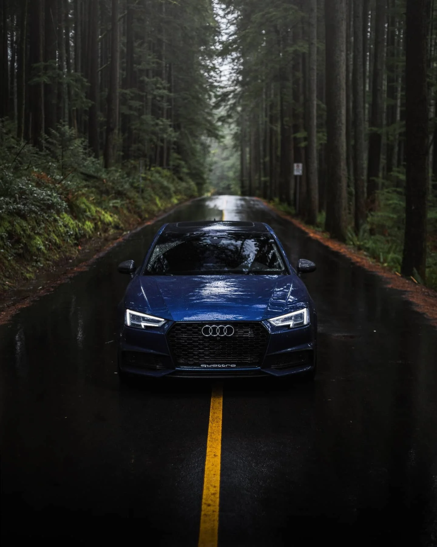 Rain rollers look cool but dam it's hard on the hands. 🥶🥶🥶 Definitely recommend wearing gloves 🧤
.
.
.
.
.
#b9 #b9a4 #audia4 #audi #quattro #quattrolife #a4 #audis #quattroculture #audisport #audizine #audicanada #audicarsclub #myaudi #audination