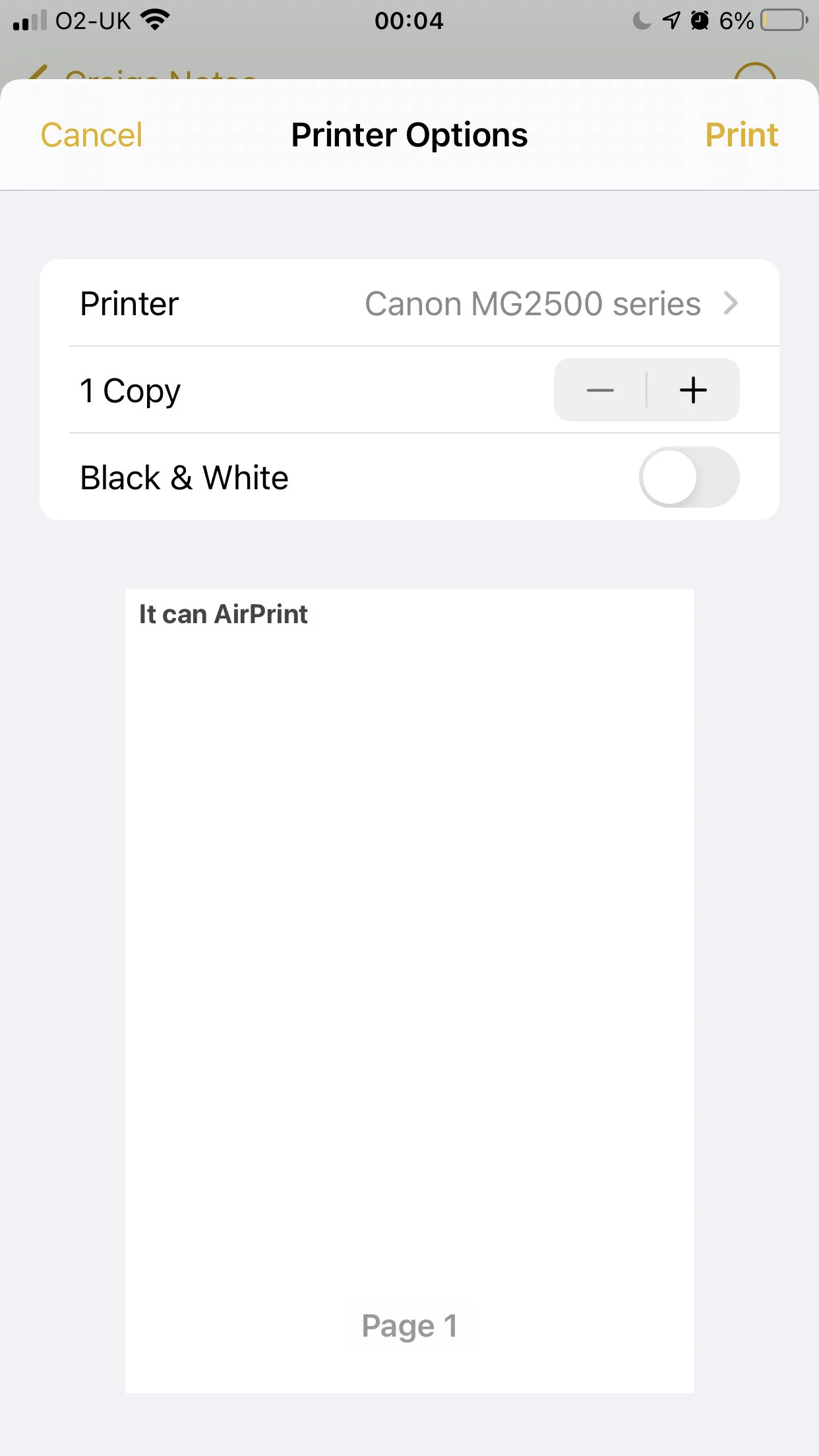 ios print server