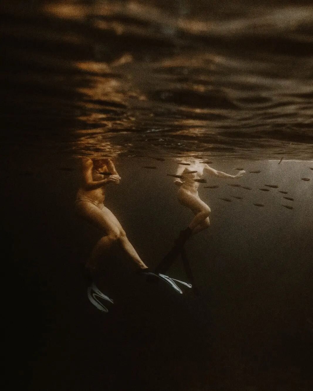 OCEANIDES
[ Ὠ&kappa;&epsilon;&alpha;&nu;ί&sigmaf; ]

Les femmes de l'oc&eacute;an. Dans les eaux chaudes de Guadeloupe, elles plongent et tourbillonnent dans les fond marins. Prot&eacute;geant et fertilisant les coraux de feux. Voici l'histoire, la p