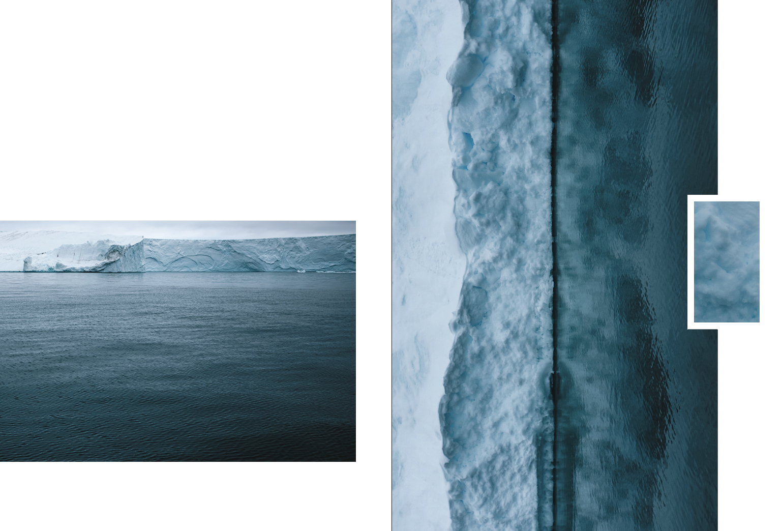 double_page_australe_alisonBounce.png