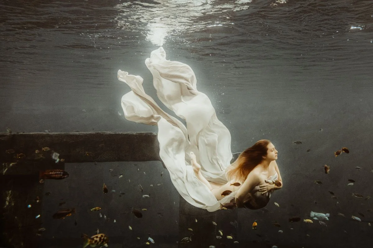 Séance photo grossesse sous l'eau à Hyères, PACA et Paris — free download