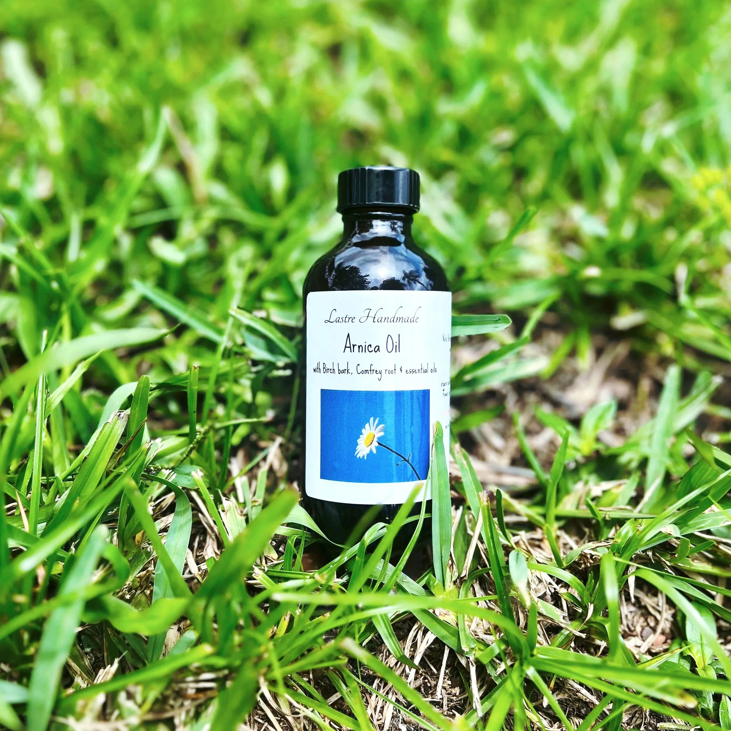 Arnica_Grass_Front.jpg