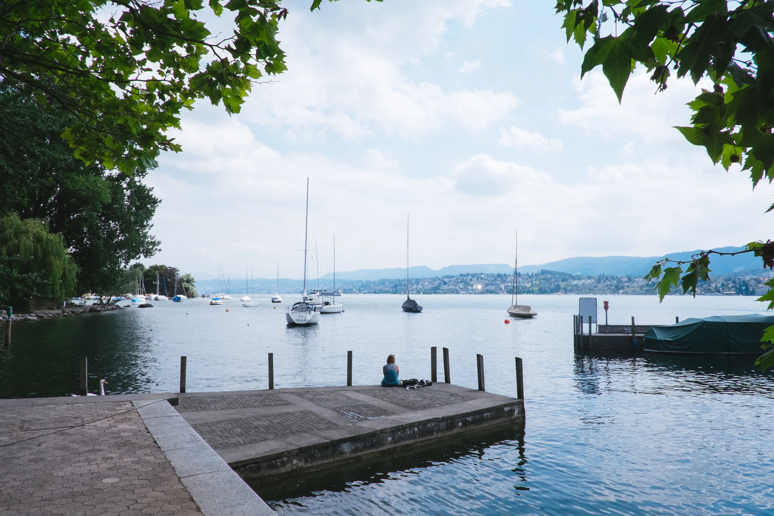 48427784506_97b0fa8caf_o (1).jpg