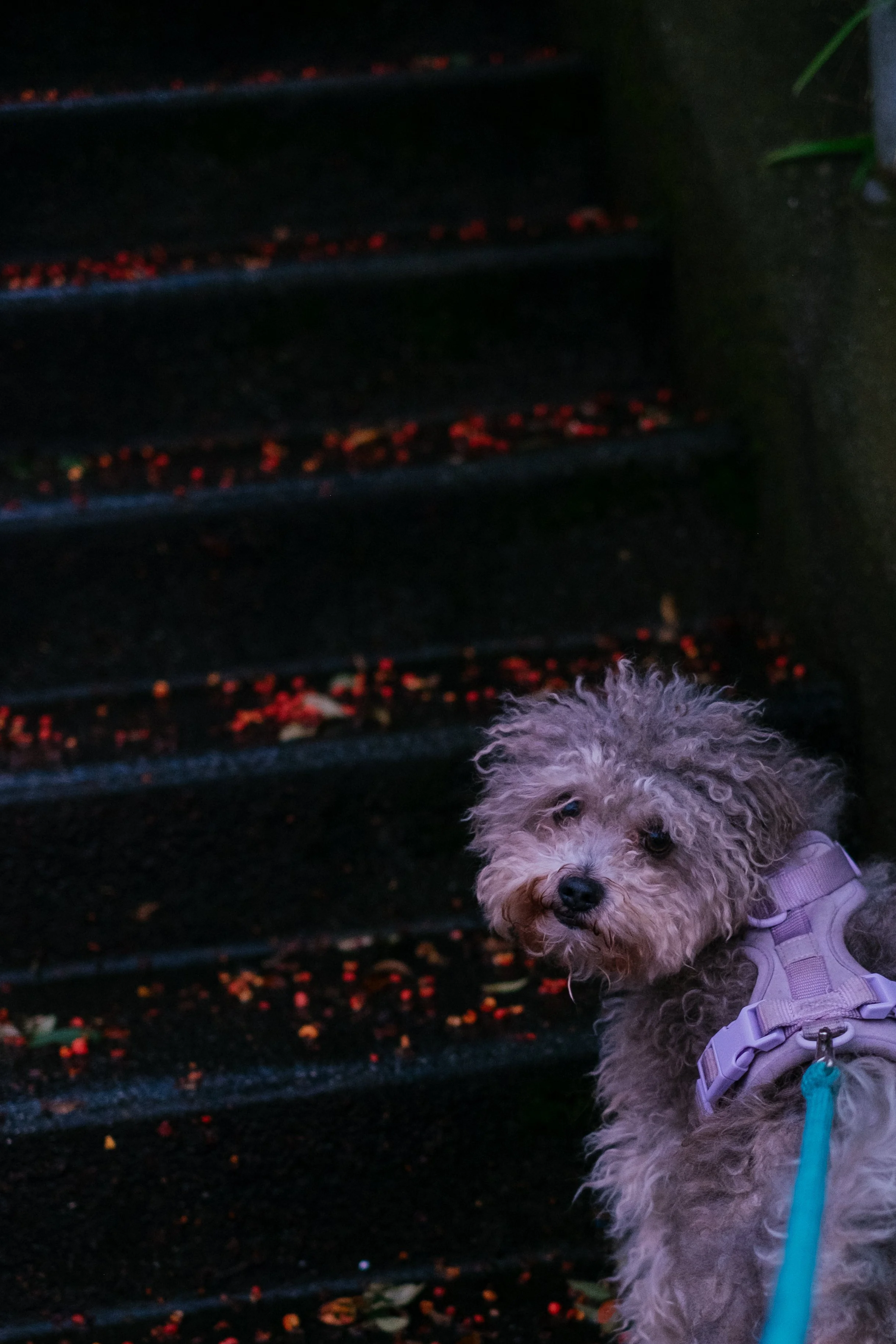 DSCF3488.jpg